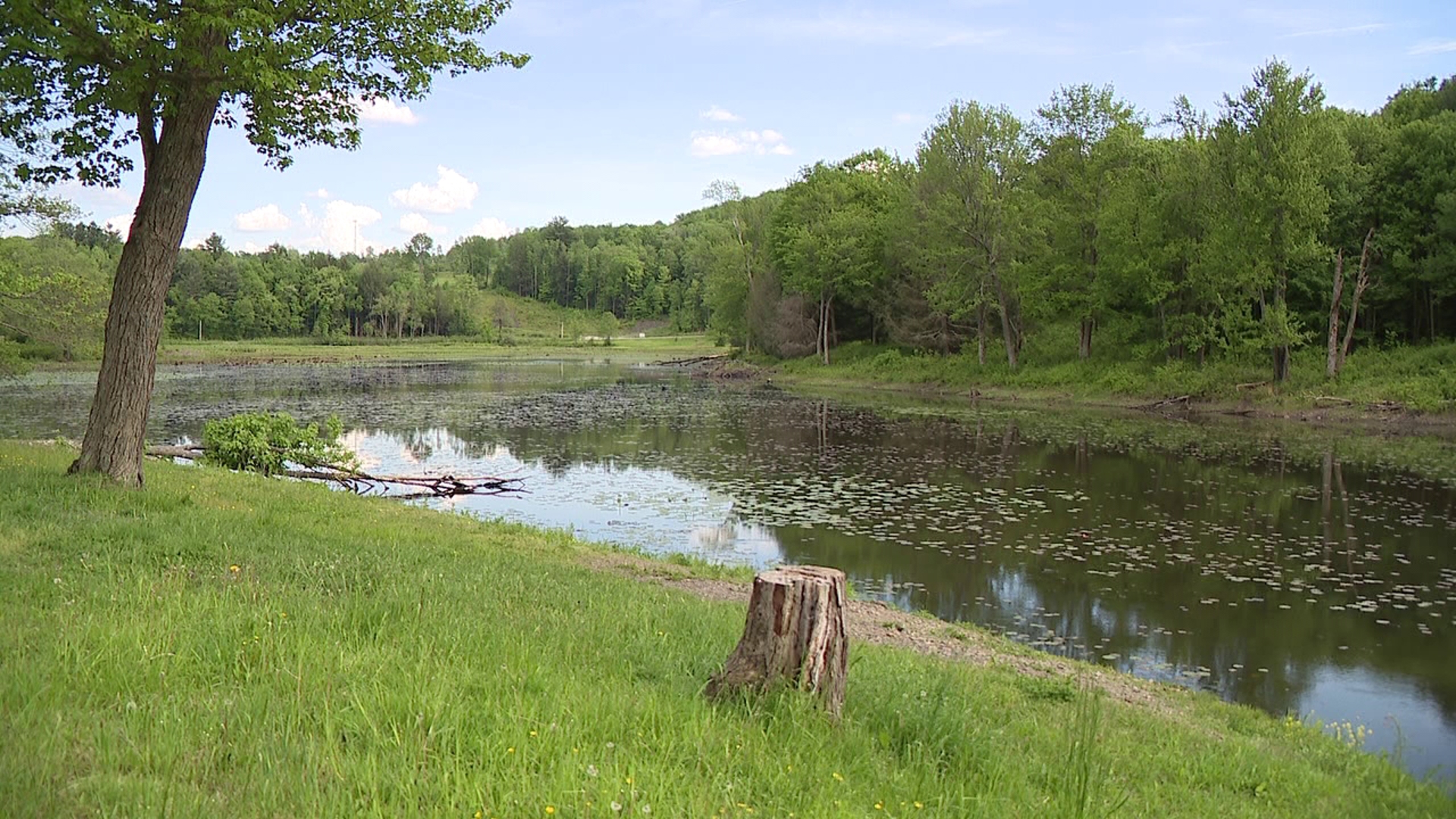 Stump Pond is listed as the only public fishing area where people are free to visit without permission in Susquehanna county, and residents hope it stays that way.