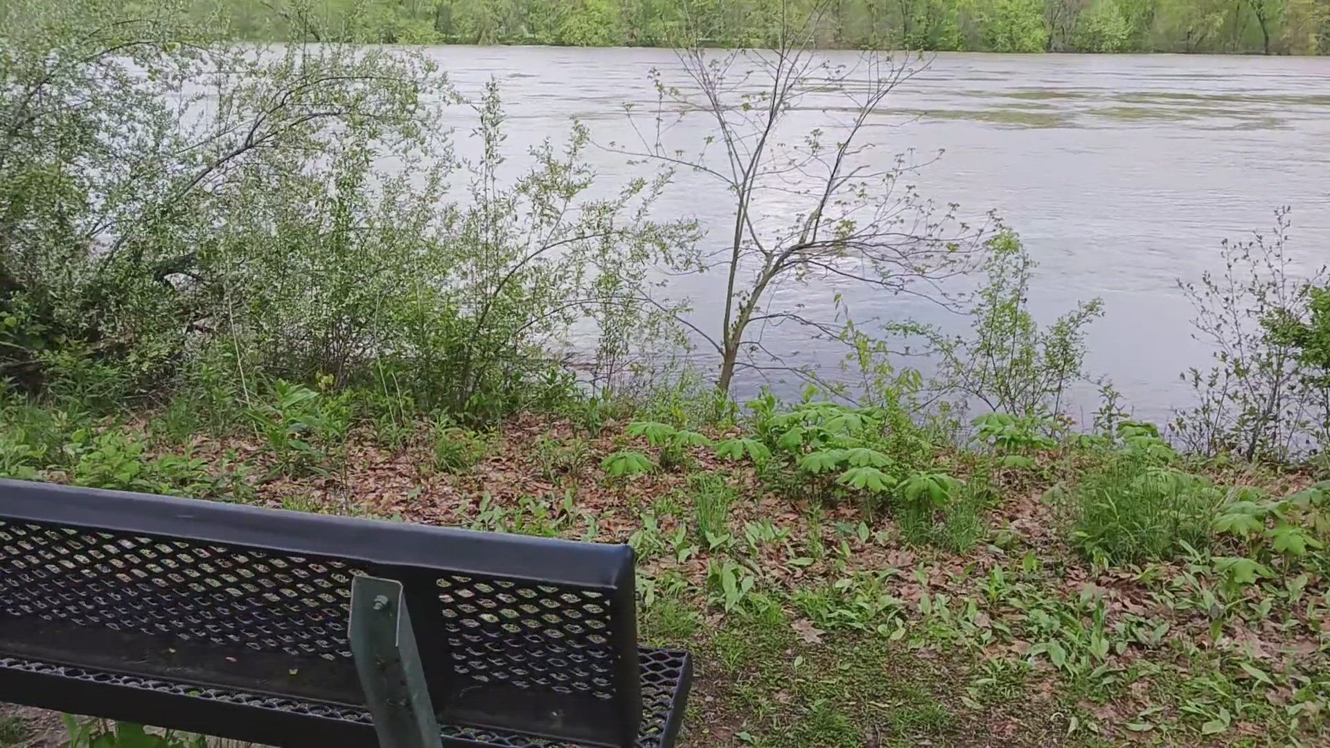 I'm at the Susquehanna Wetlands and never saw it this high. I can almost touch the water.
Credit: Avis Miller