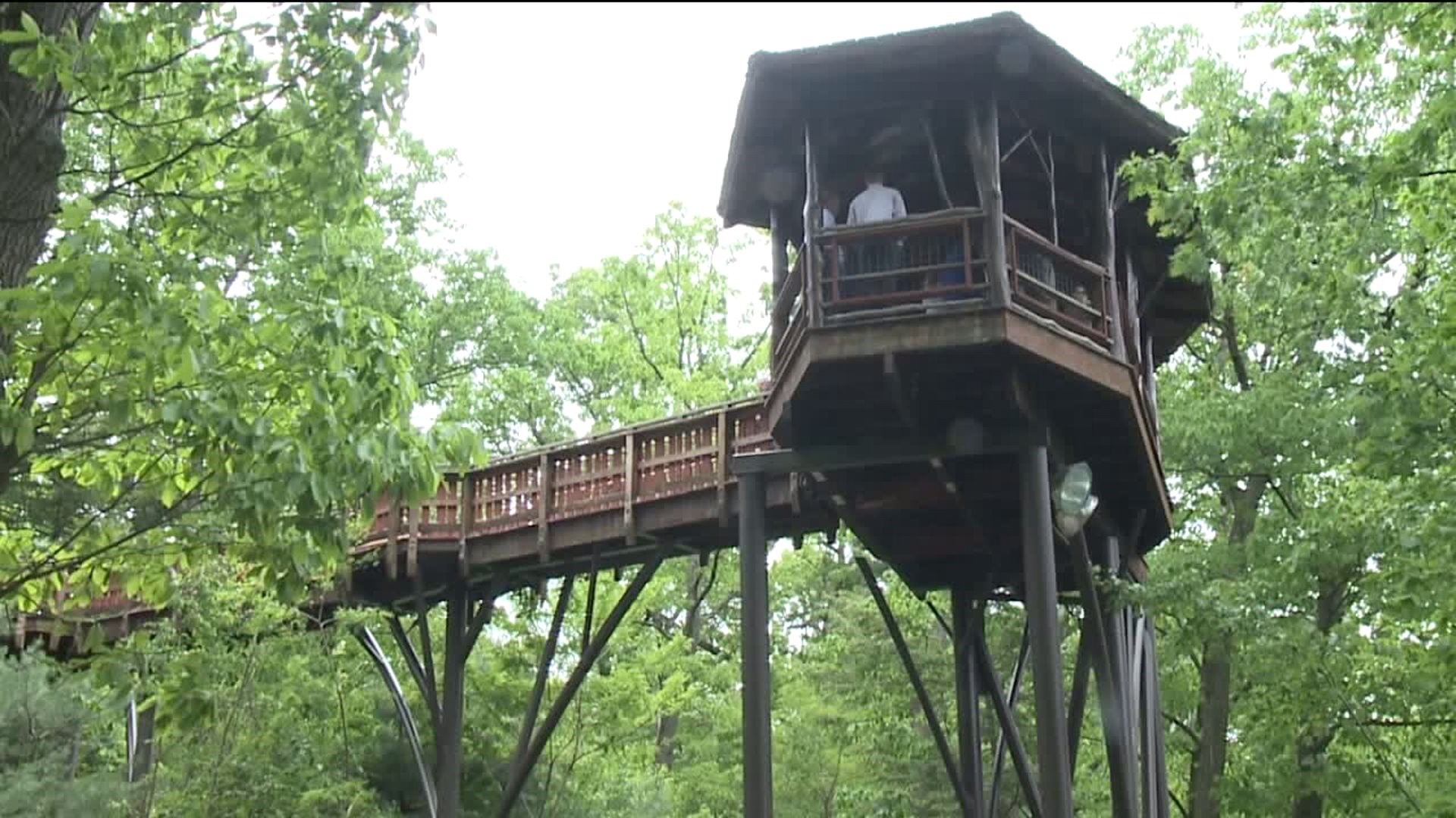 Dedication Ceremony Held for Newly Reopened Nay Aug Treehouse