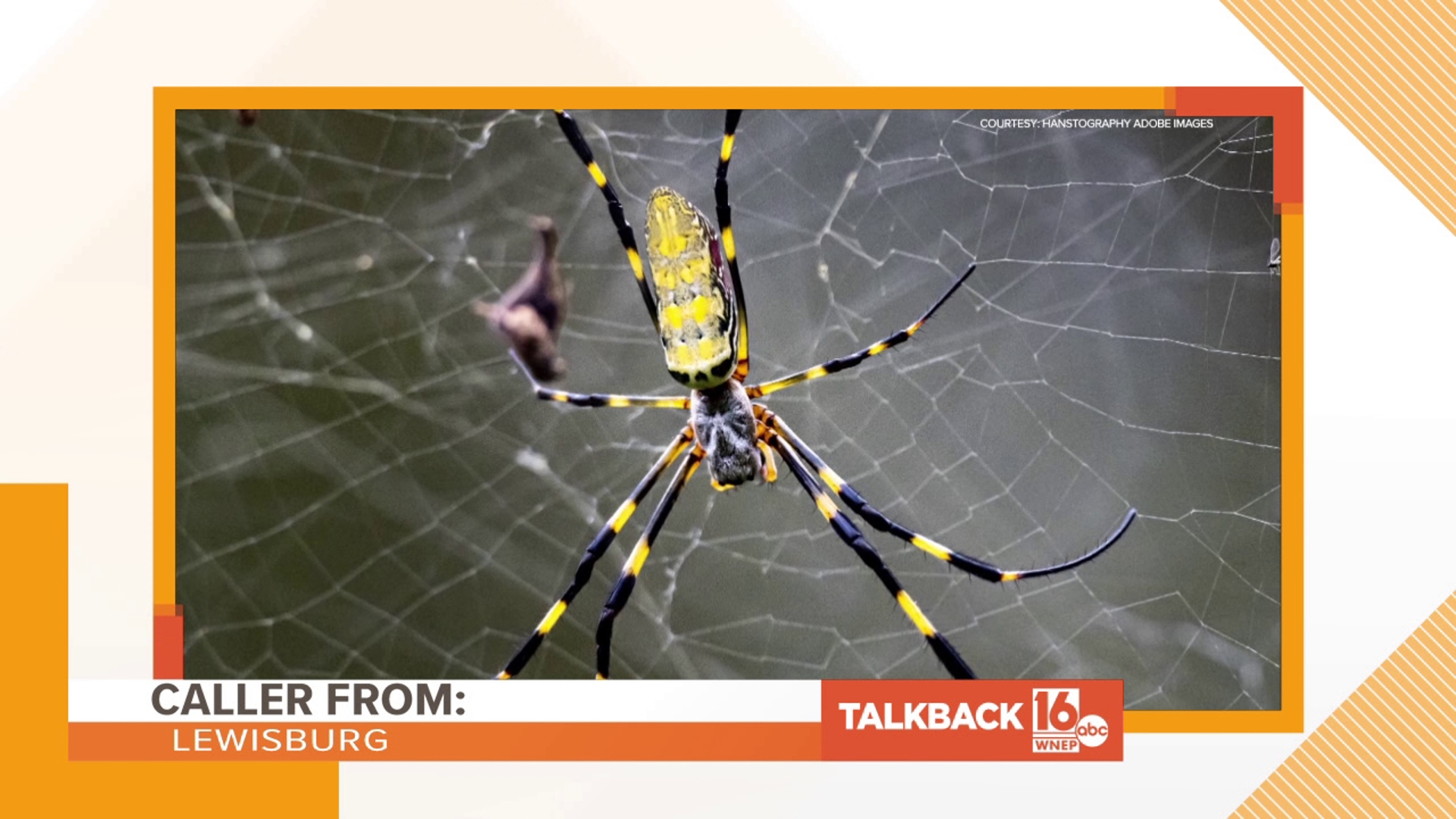 One caller is commenting on a way to escape the threat of flying Joro spiders in this Talkback 16.