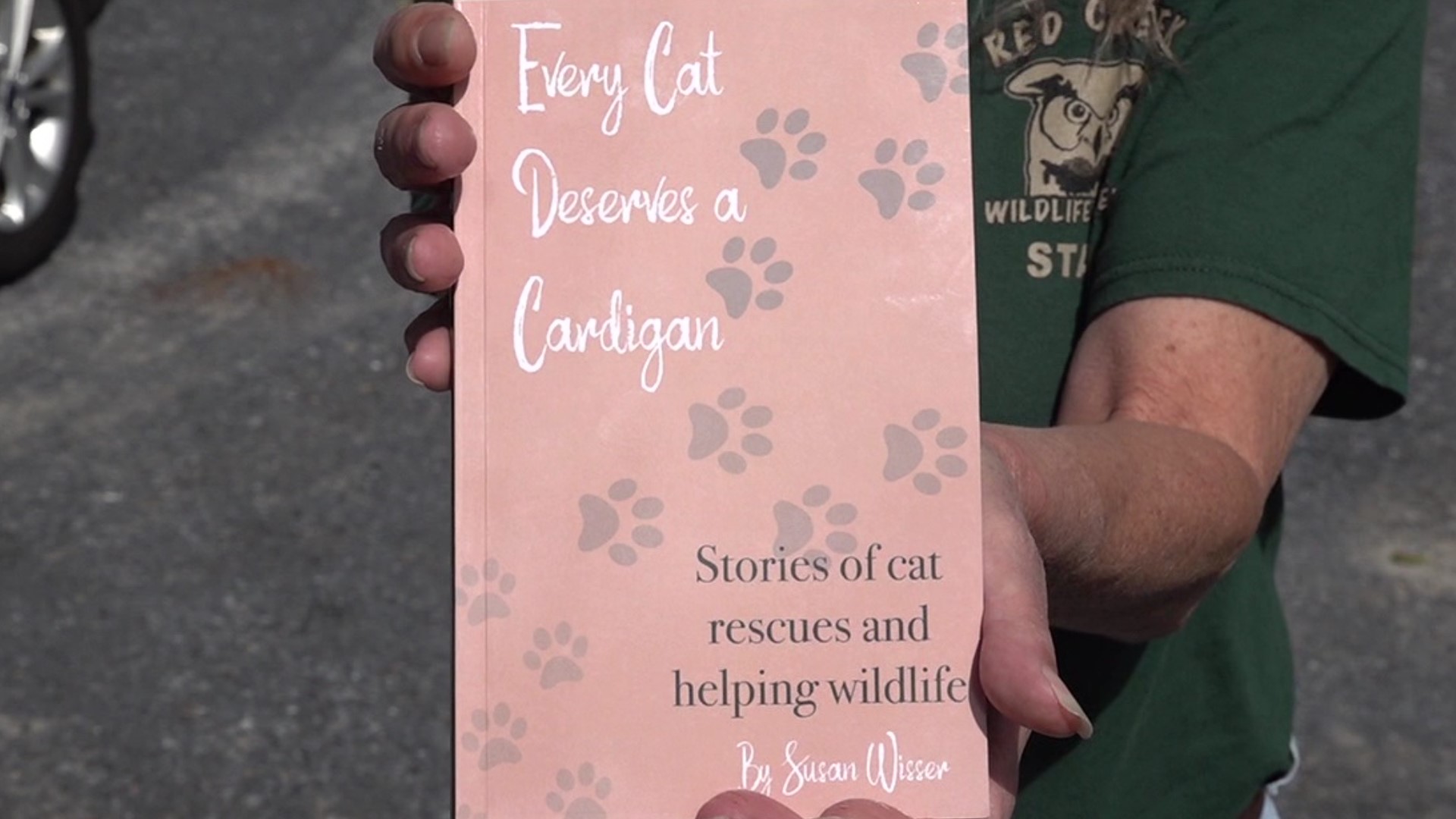 A woman from Schuylkill Haven is working to raise $1 million for animal rescues one book at a time, planning to help animal and wildlife centers in NEPA.