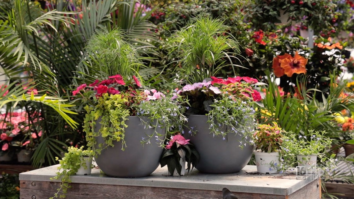 Mother's Day DIY Porch Planter-The Gift That Grows