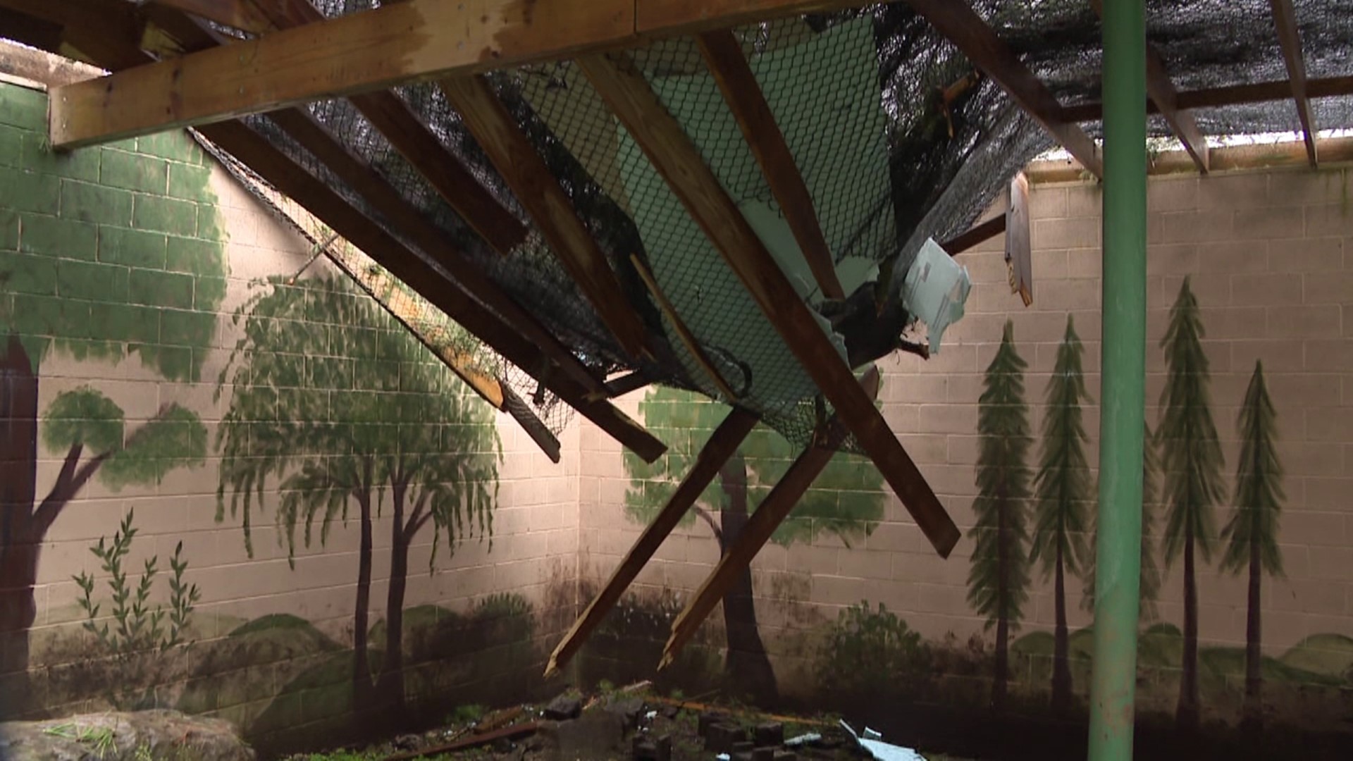 As the severe weather caused damage throughout northeastern and central Pennsylvania, a fallen tree destroyed the roof of a wildlife center in Monroe County.
