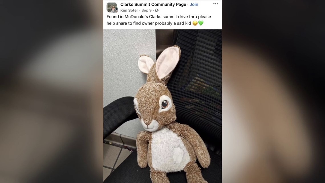 Woman's reunion with beloved stuffed animal - Vimarsana News