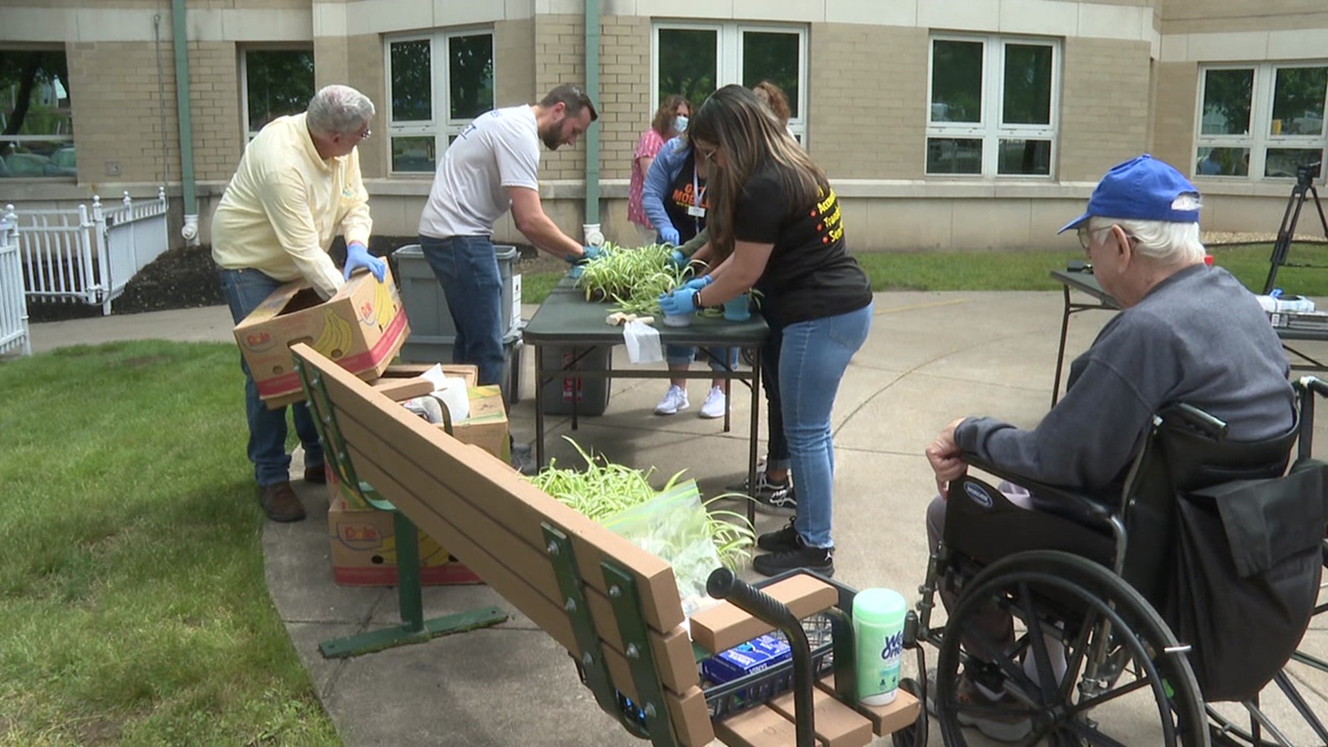 More than 150 spider plants were given to the residents at the Gino Merli Veteran Center.