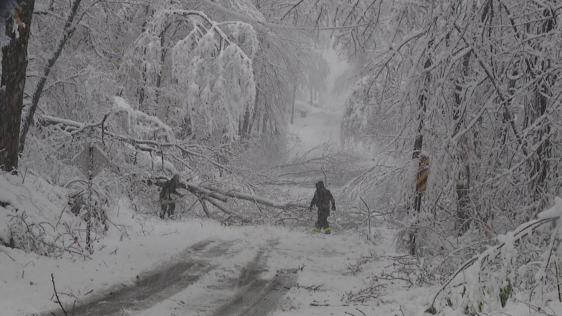 The heavy, wet snow is causing trees to fall. Newswatch 16 found crews working on a tree across Wintermantle Avenue near Beech Street on East Mountain.