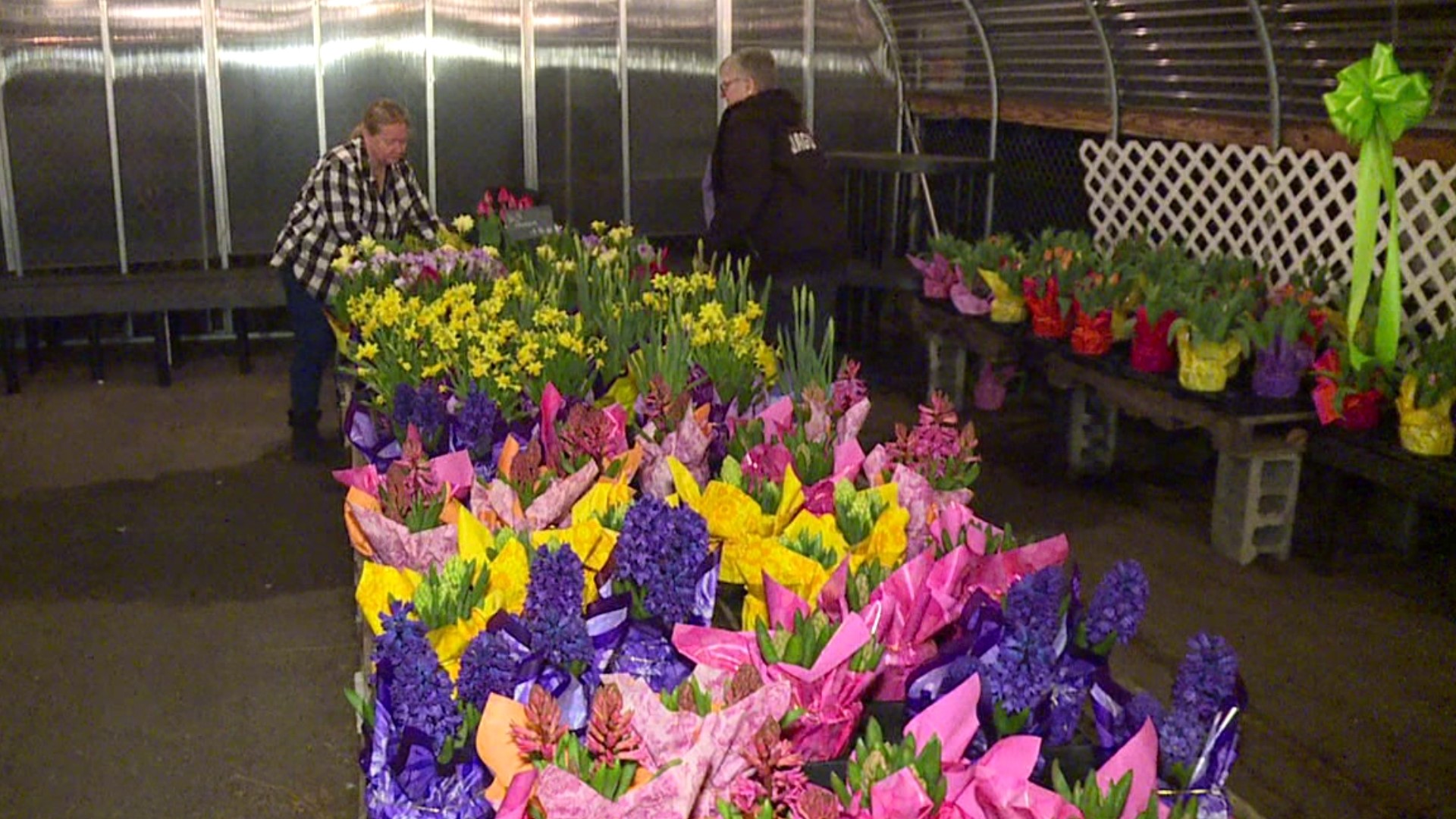 It's a pretty sight at gardening centers across our area — spring flowers in full bloom.