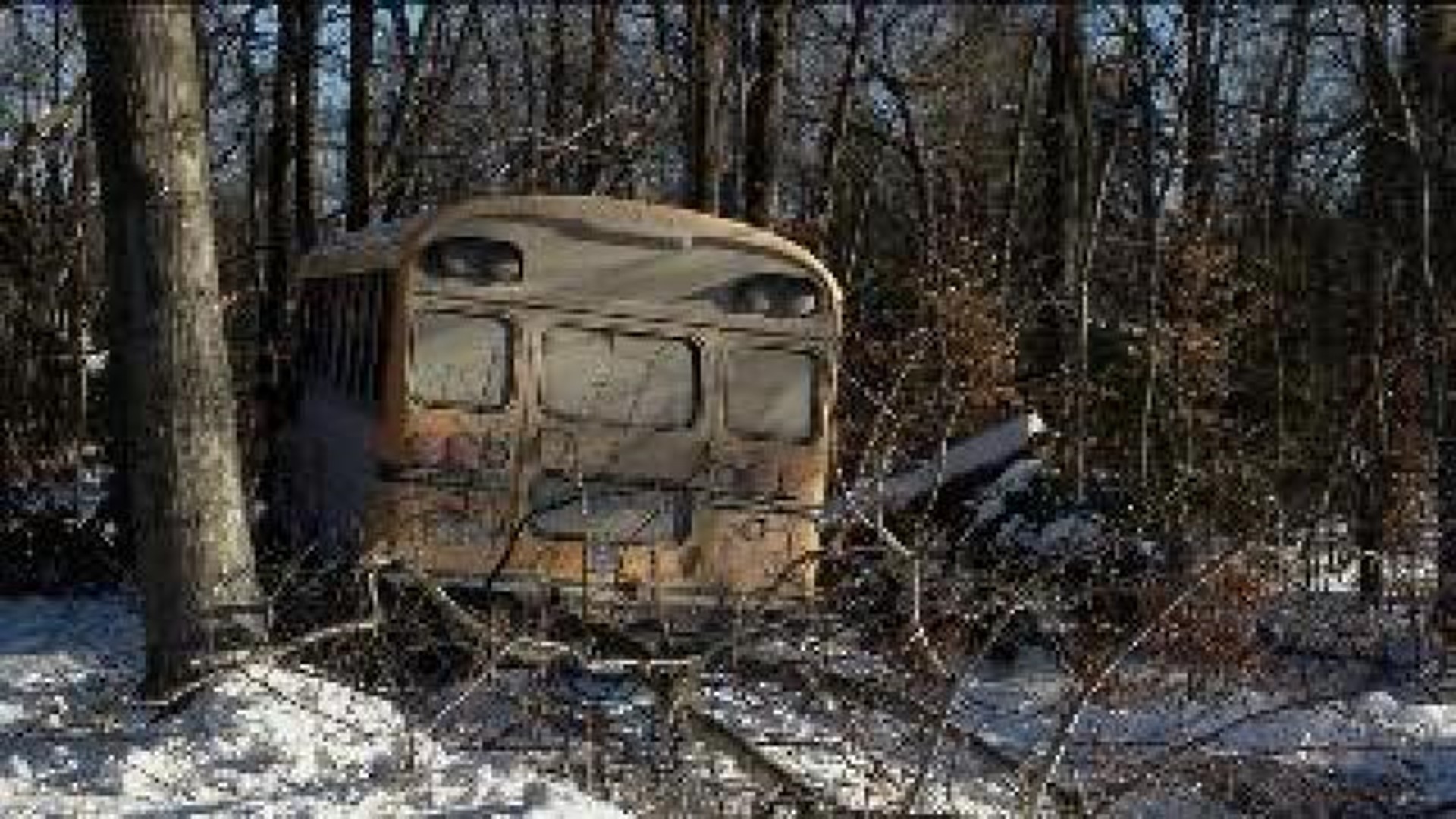 School Bus Crashes Into Woods, Students Unhurt