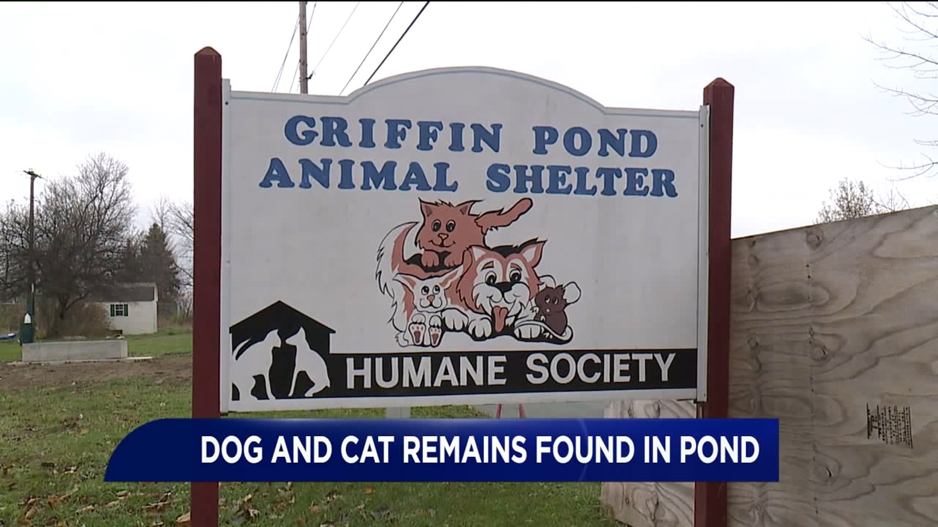 Skeletal Remains of Animals Found Near Animal Shelter in Lackawanna County