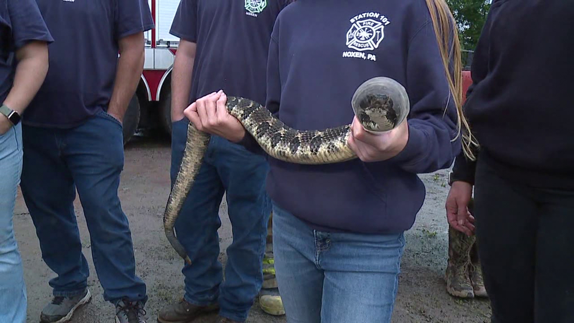 The Rattlesnake Round-Up in Noxen draws crowds for competitions and education on snakes.