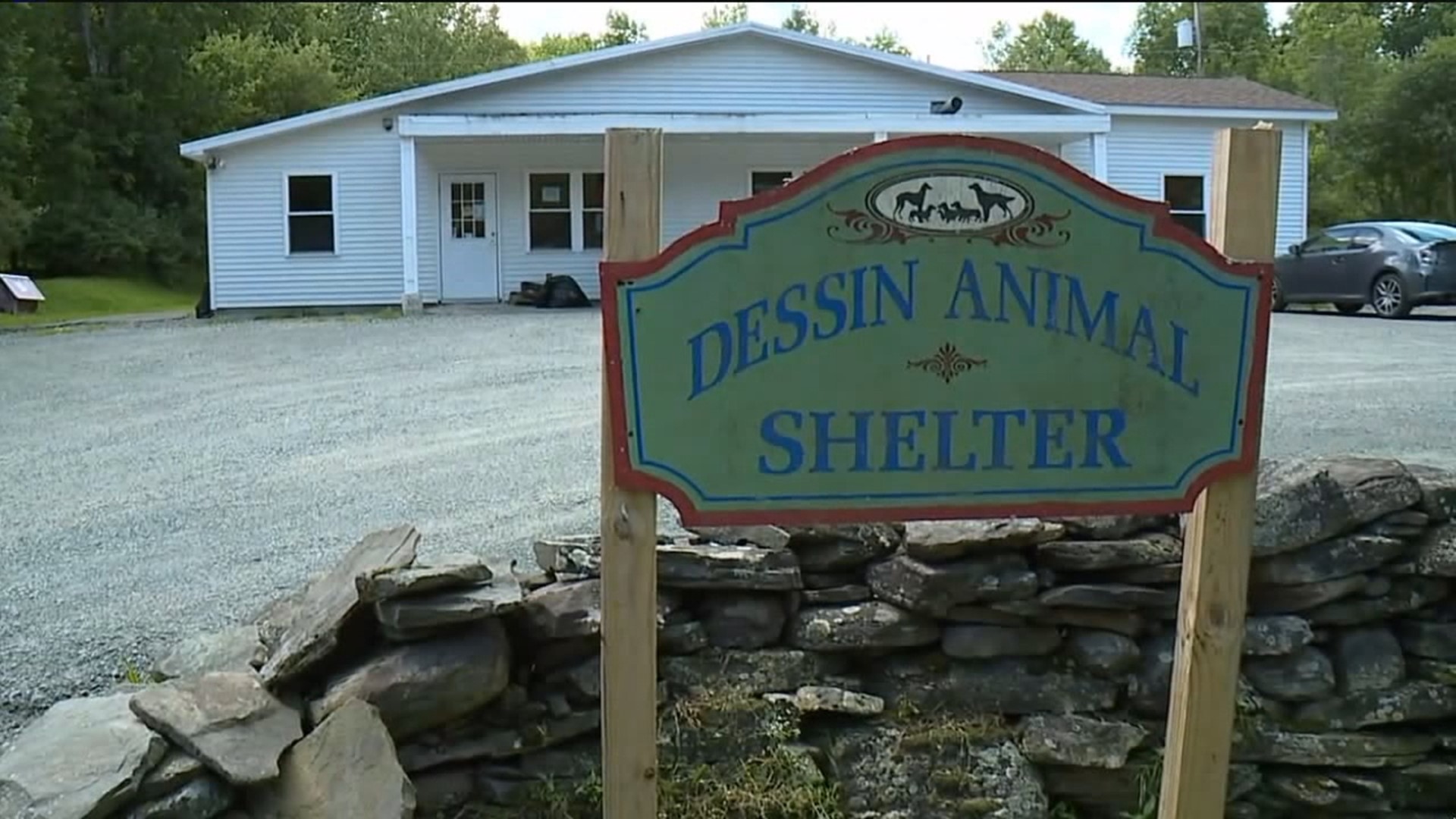 The shelter cannot accept any more animals according to a post on their social media.