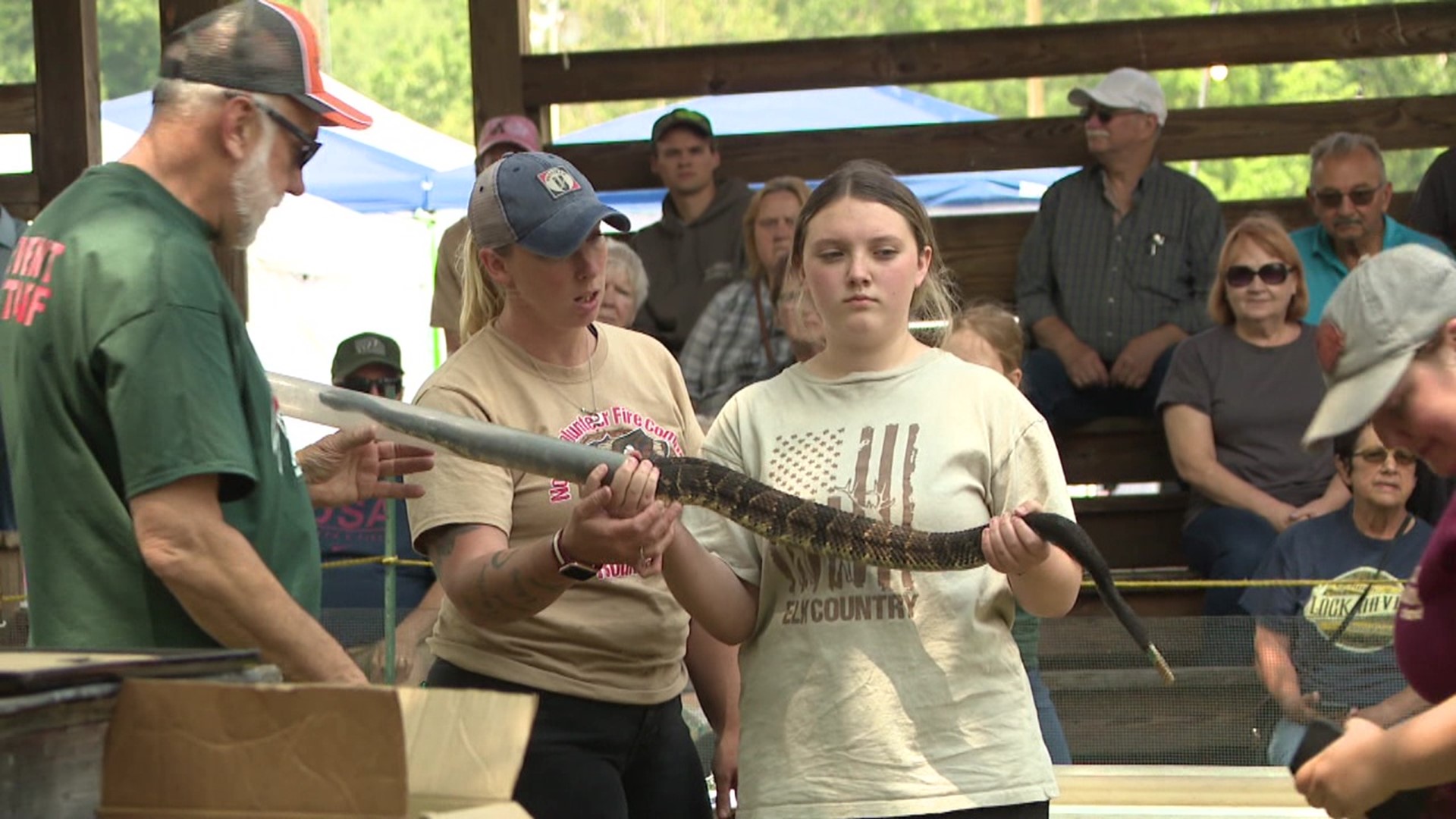 It's similar to any other fireman's carnival, with rides, games, and food, but also with snakes.