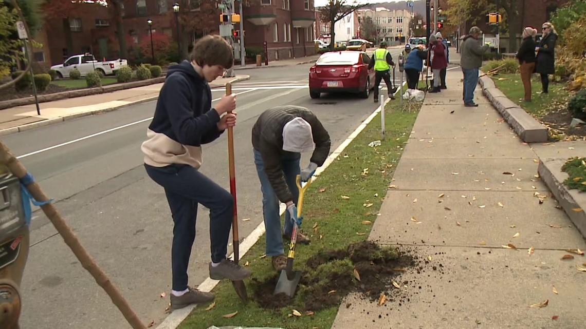 Students plant shade trees in Wilkes-Barre - Vimarsana News