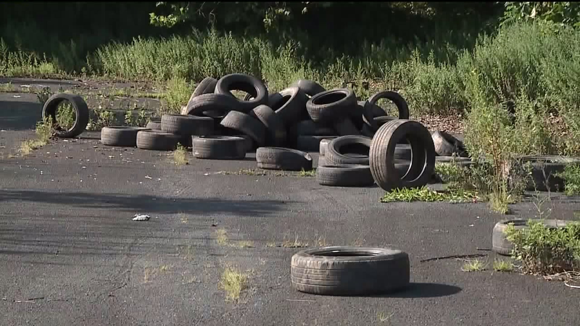More Charges for Woman Accused of Dumping Tires