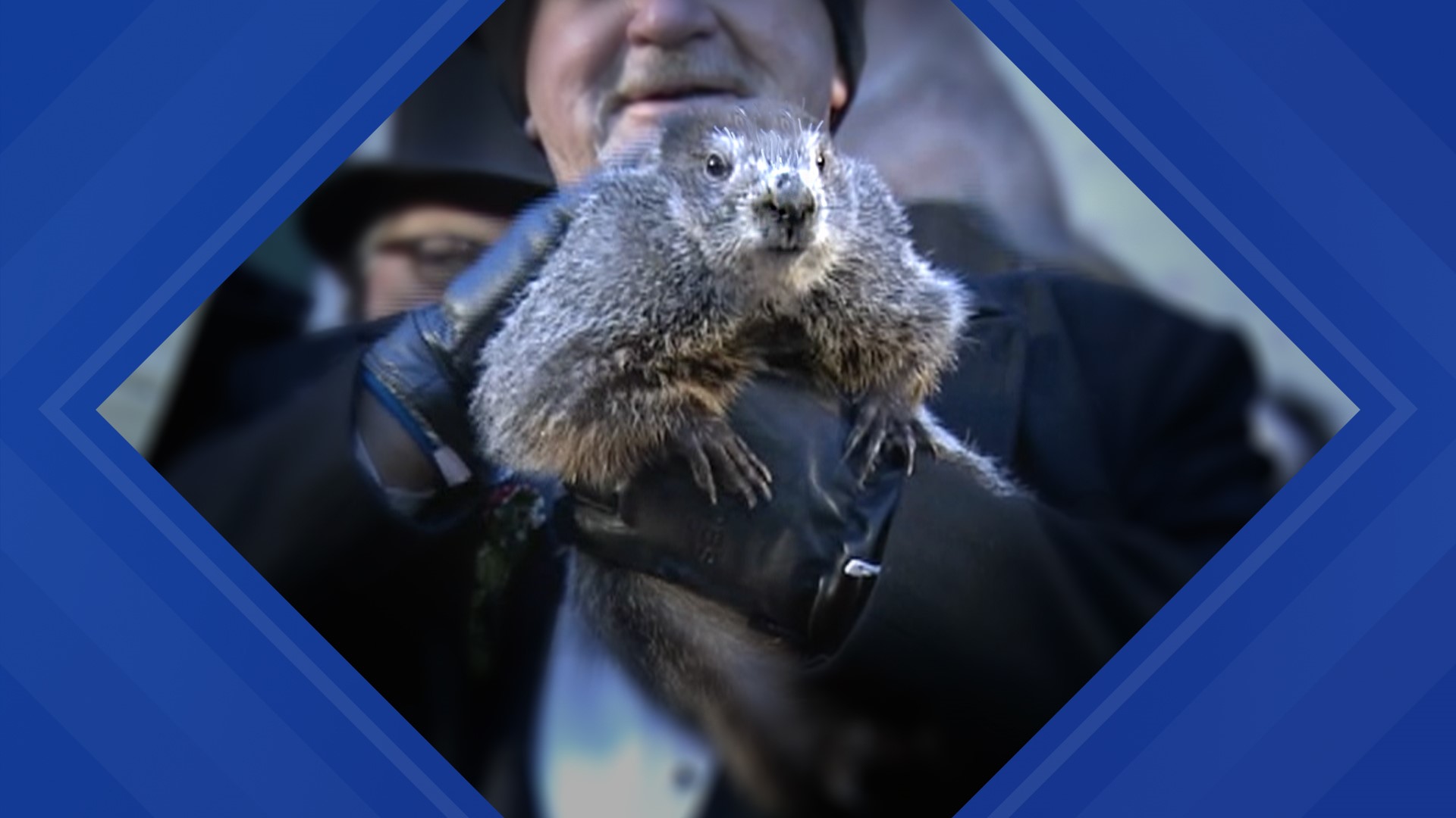Stormtracker 16 Meteorologist Ally Gallo takes a look at animals that may be better at forecasting the weather than a groundhog.