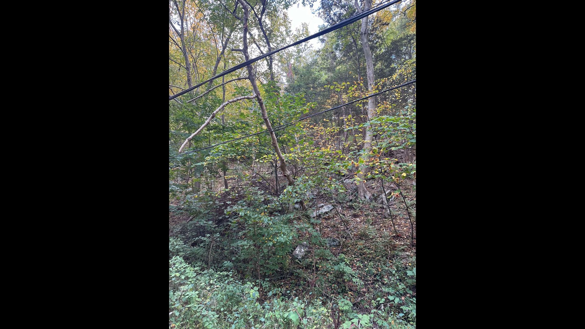 One person dead after crash in Lycoming County | wnep.com