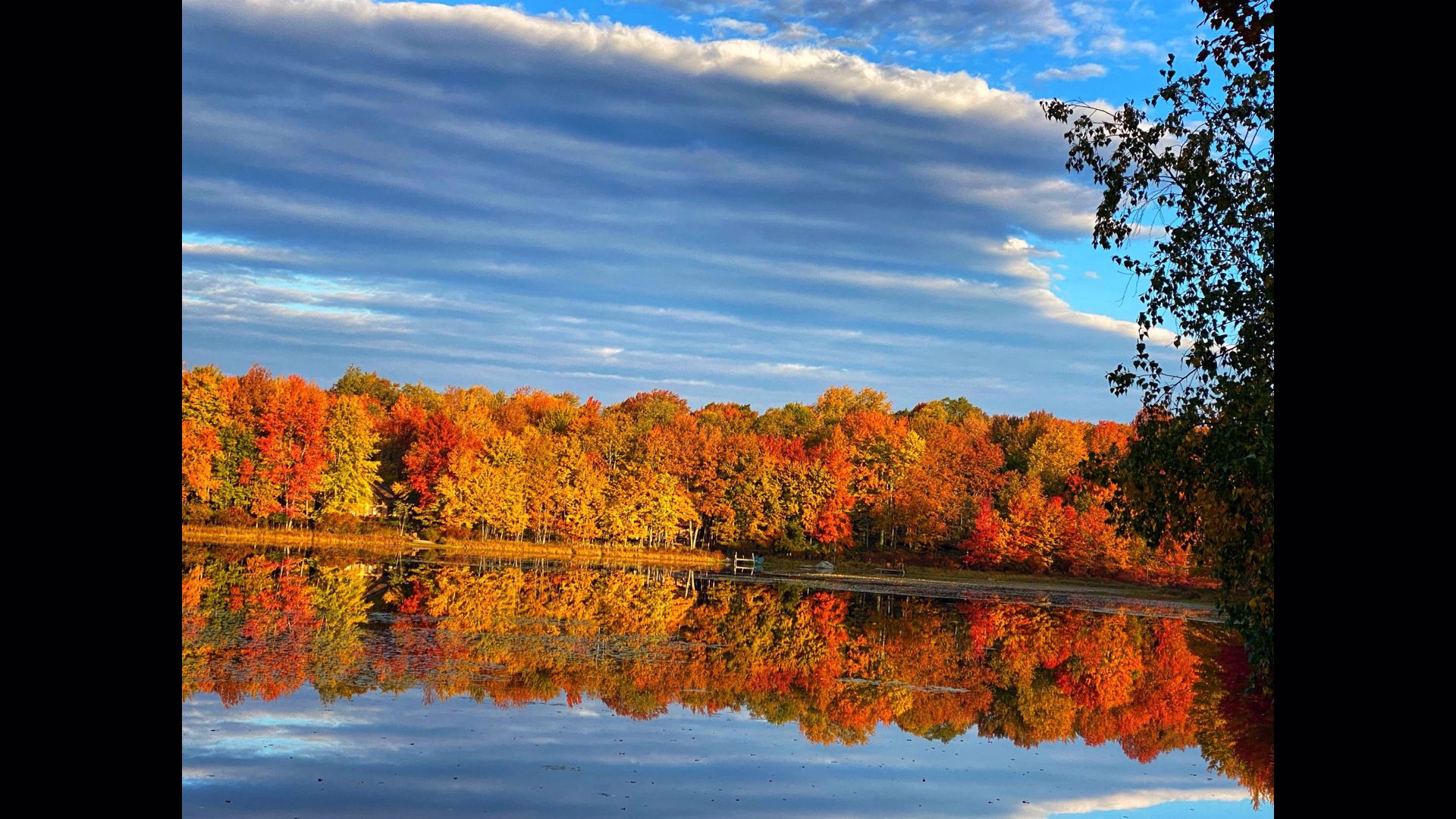 Department of Conservation and Natural Resources Fall Foliage Map ...