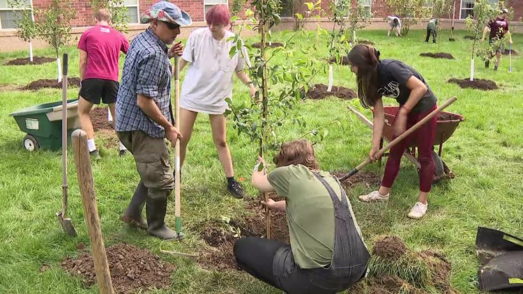 Students plant fruit trees to fight campus hunger