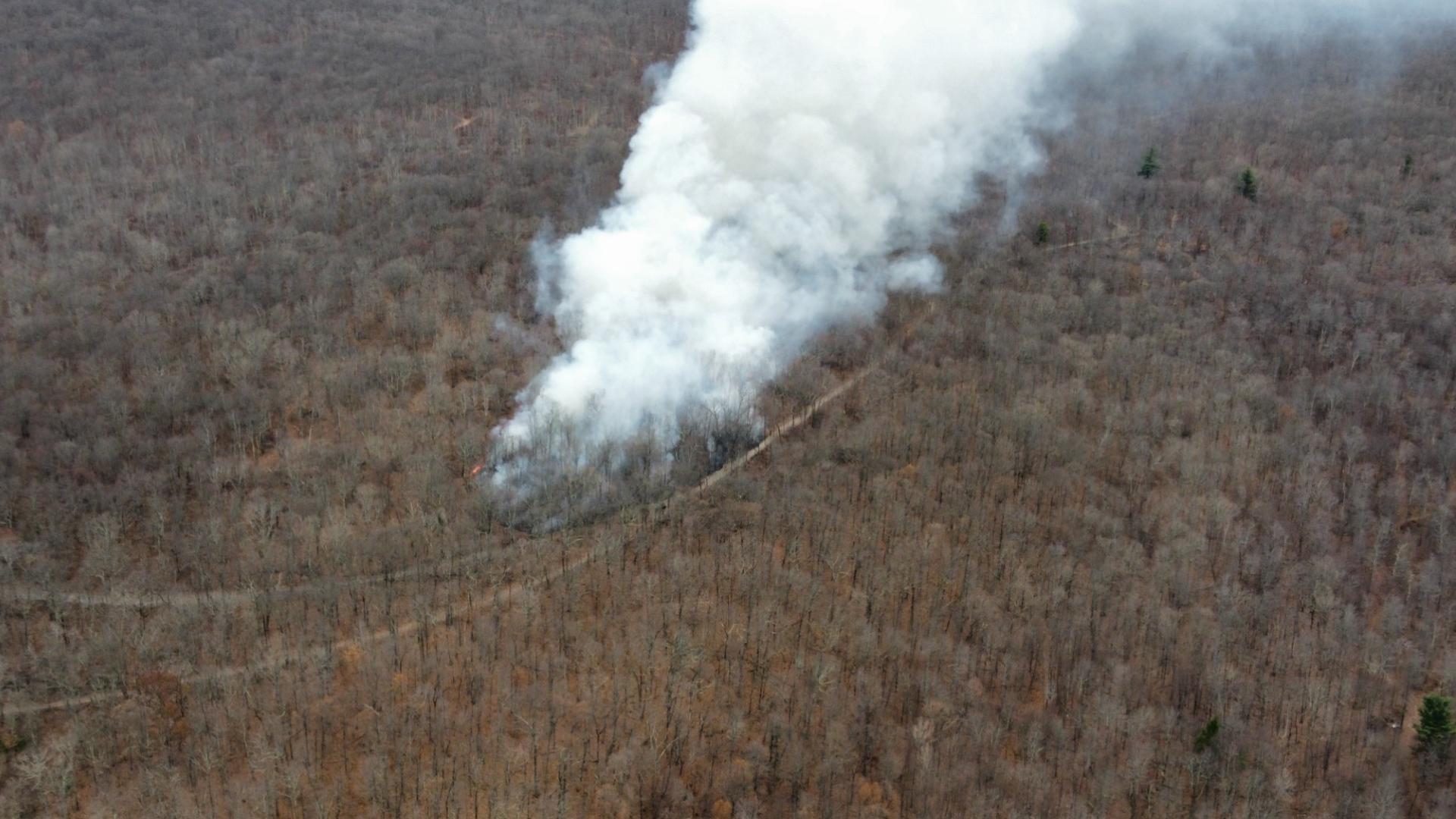 Flames broke out around 12 p.m. Sunday in the wooded area of Lost Trails in Jefferson Township.