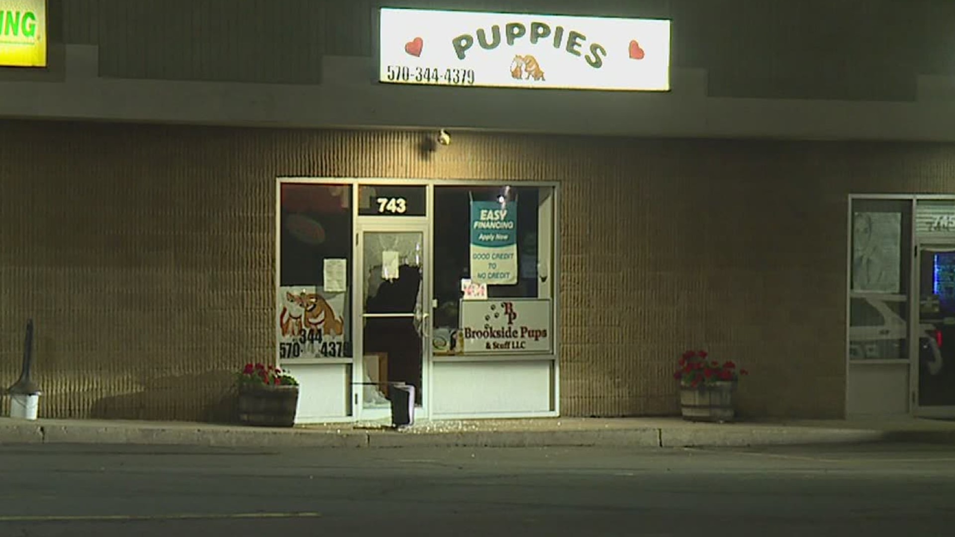 A duo allegedly broke a window and stole the dogs from a business called Puppies on Oak Street.