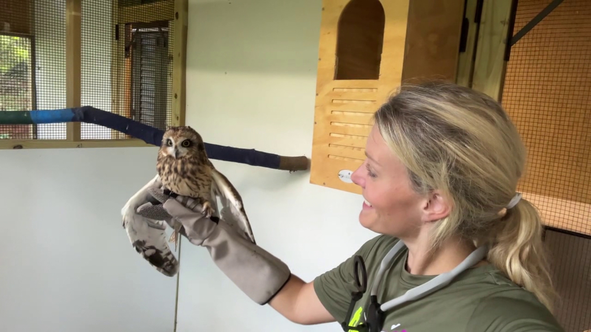 Newswatch 16's Chelsea Strub checks out the birds of prey being cared for and living at the center in Monroe County.