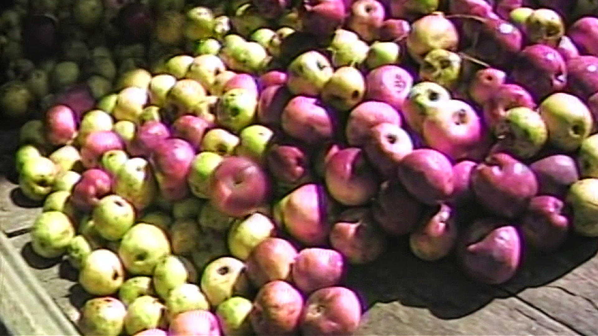 Join Mike Stevens for a tasty trip back to 1985 and enjoy a taste of autumn.