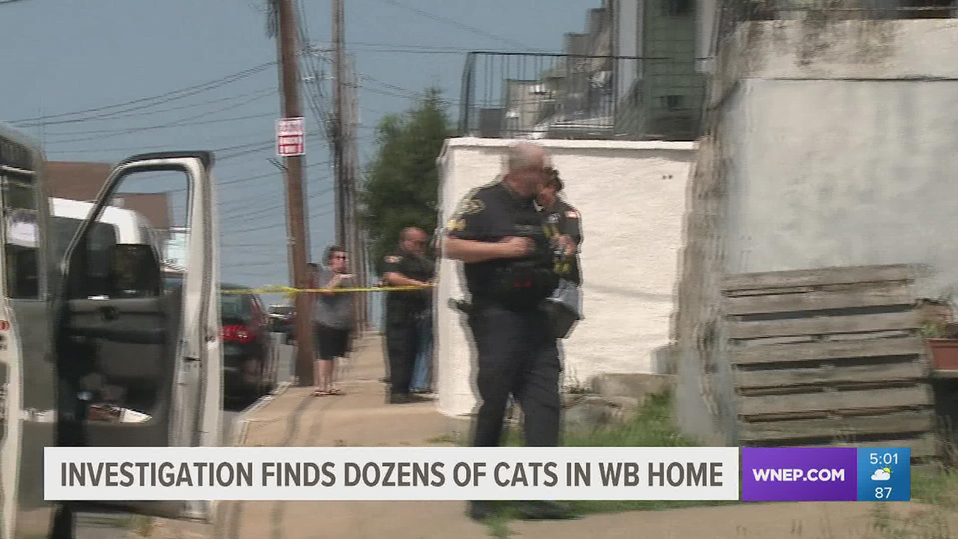SPCA workers say they will remove between 20 and 30 cats from a house on Andover Street.