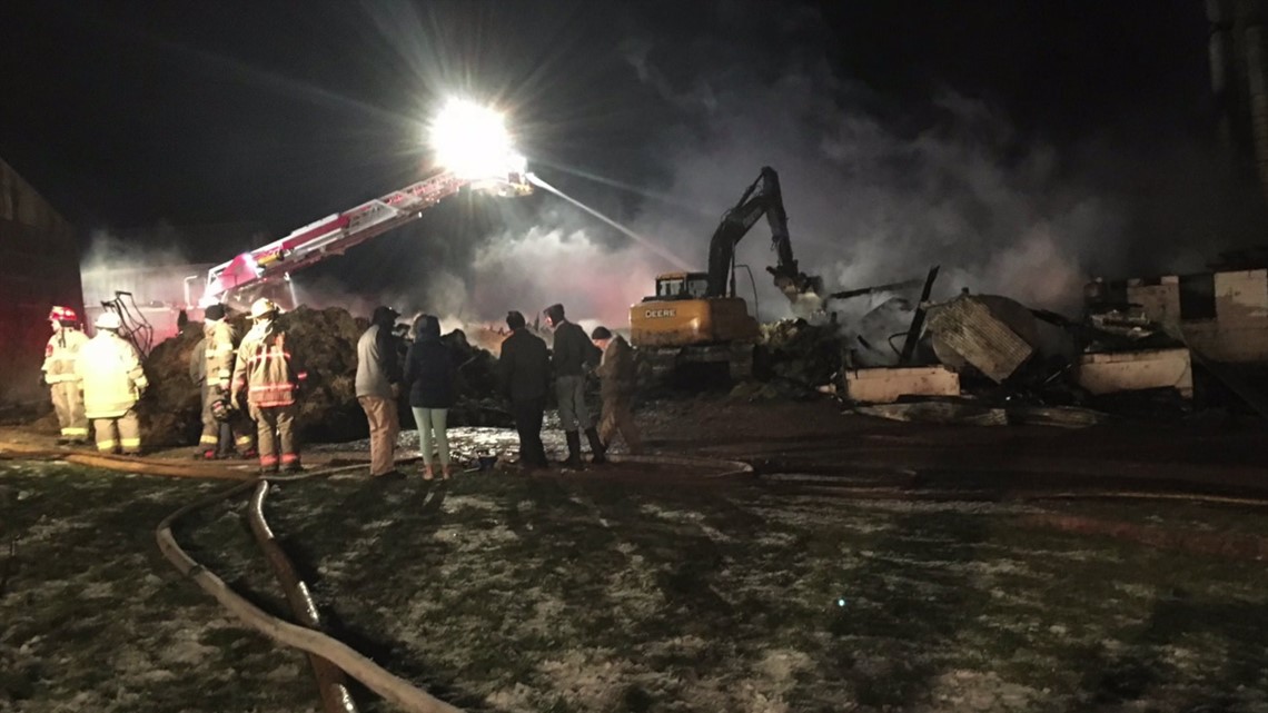 Cows Killed in Barn Fire