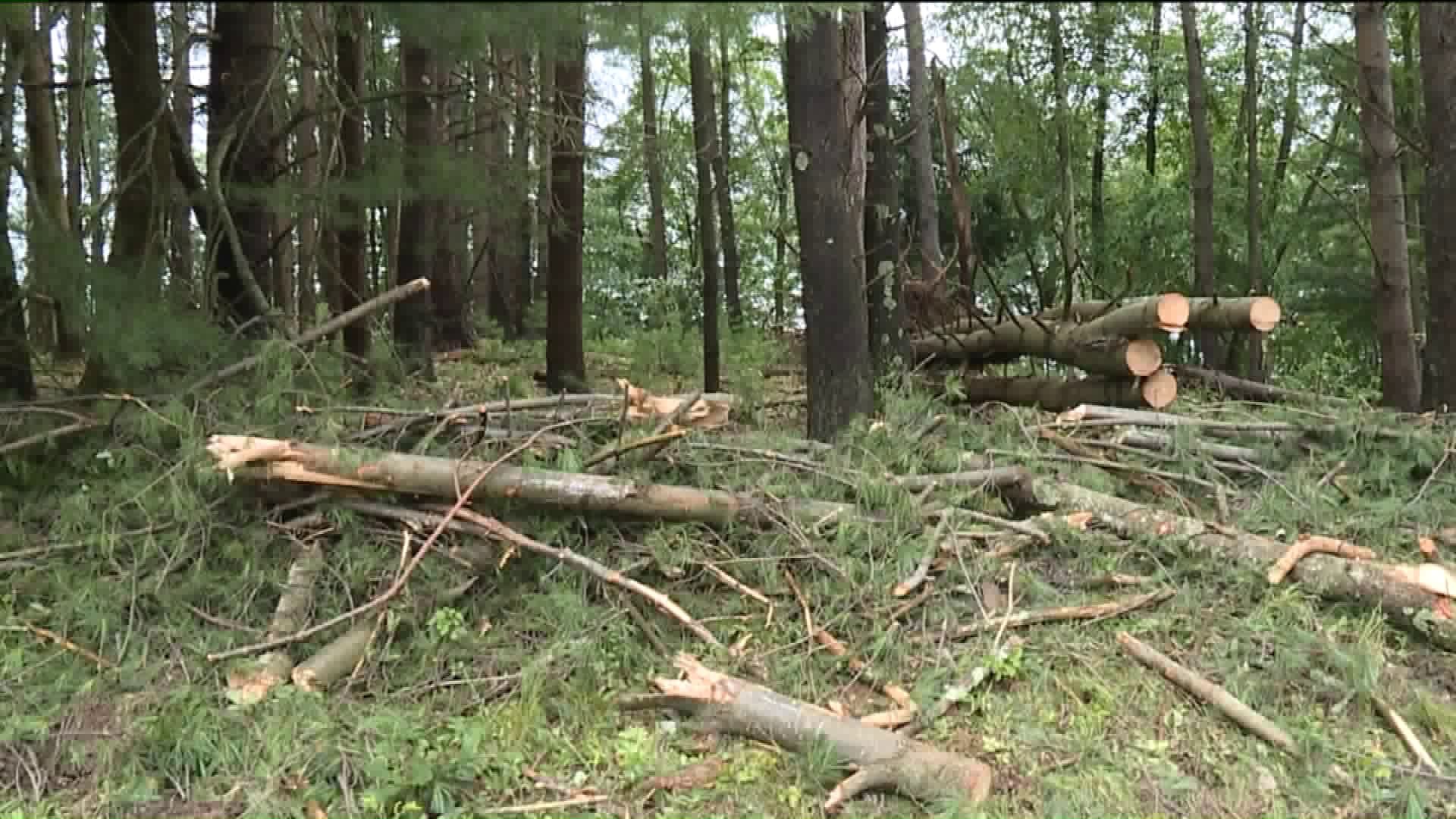 Cleanup Begins in Wyoming County After Severe Storms