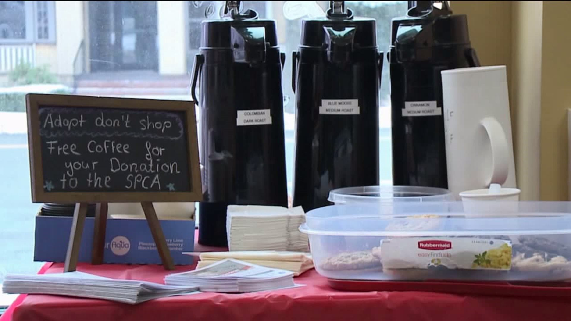 Coffee Served Up for Donations to the SPCA