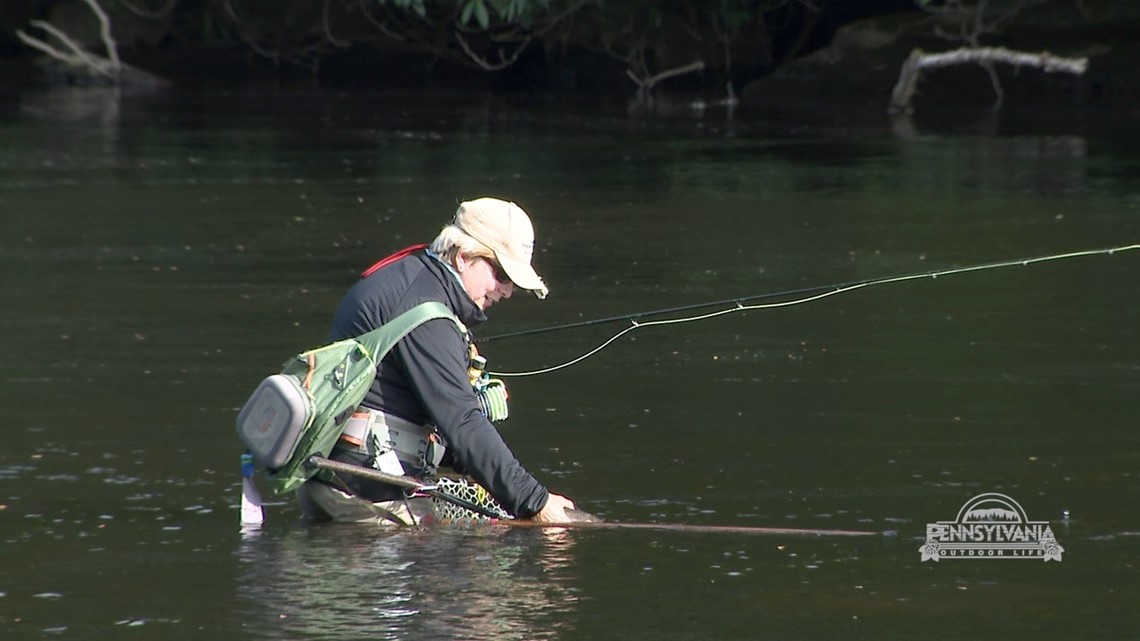 The Magic and Mysteries of Fishing the GulfstreamPart 1