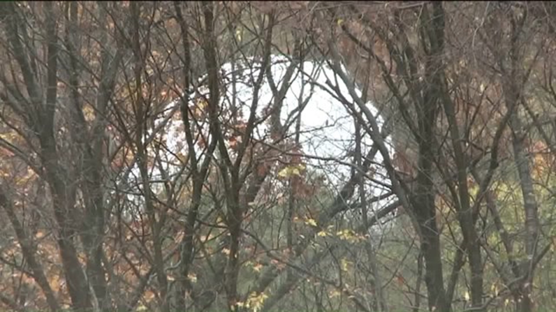 Residents Flock To See Downed Army Blimp in Wooded Field
