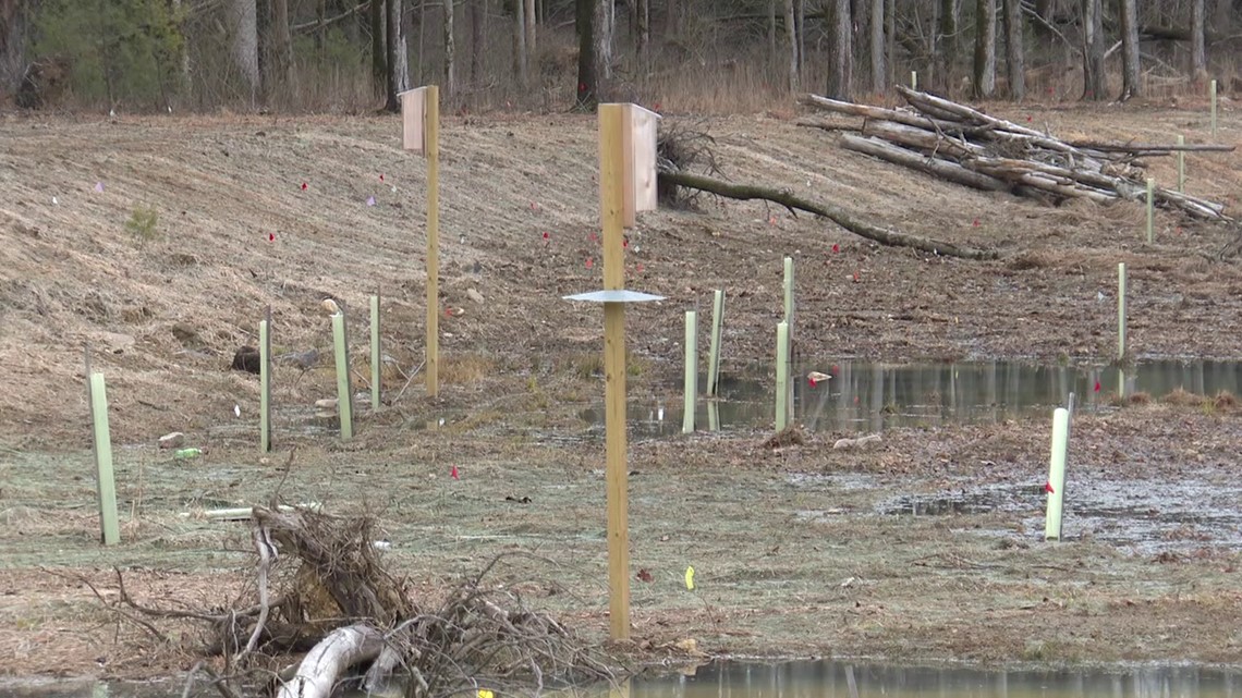 Kudos for flood control in Schuylkill County - Vimarsana News
