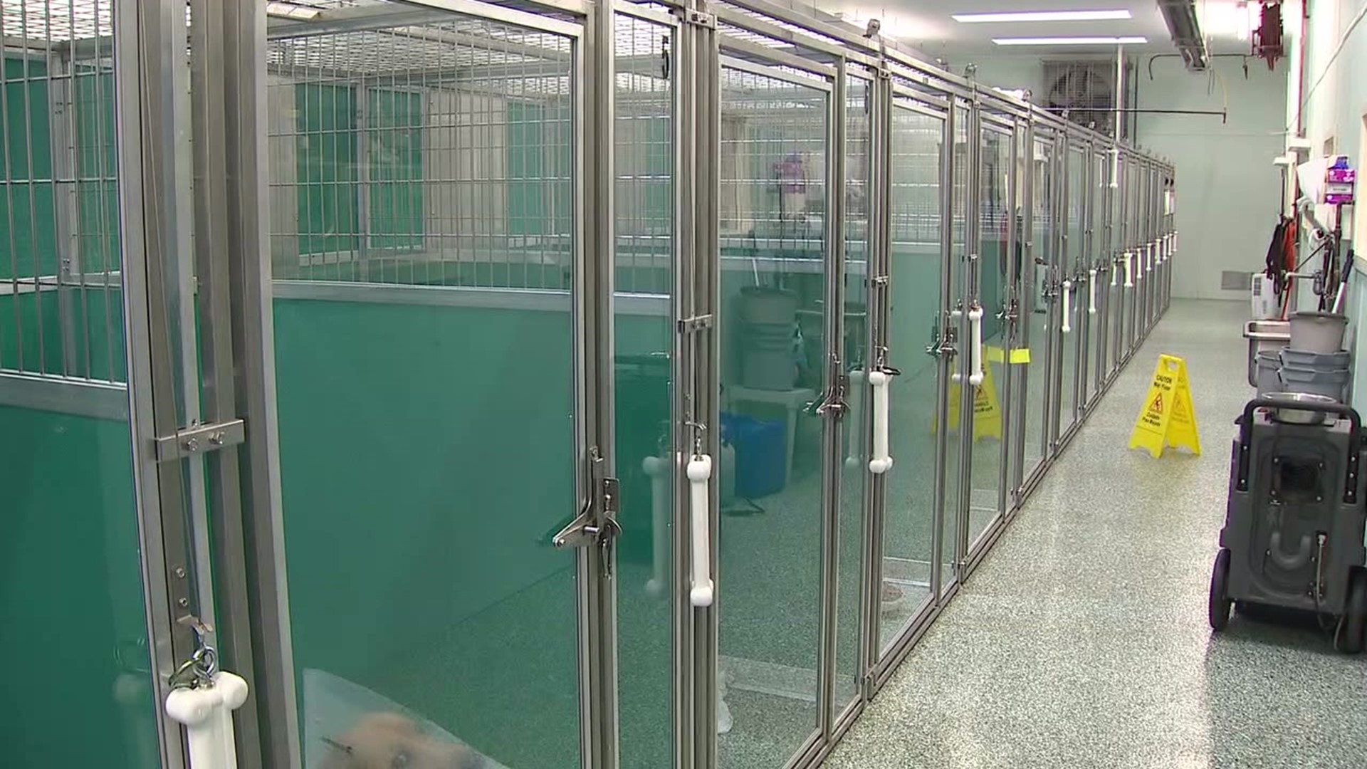 The shelter renovated the inside kennel house area for the first time since taking the facility over from the SPCA decades ago.