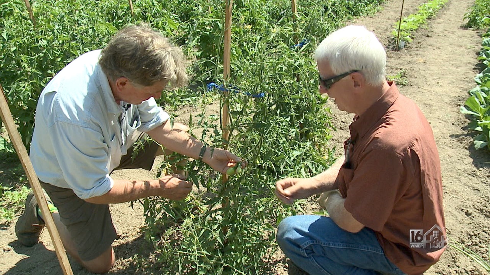 Ron's Community Garden