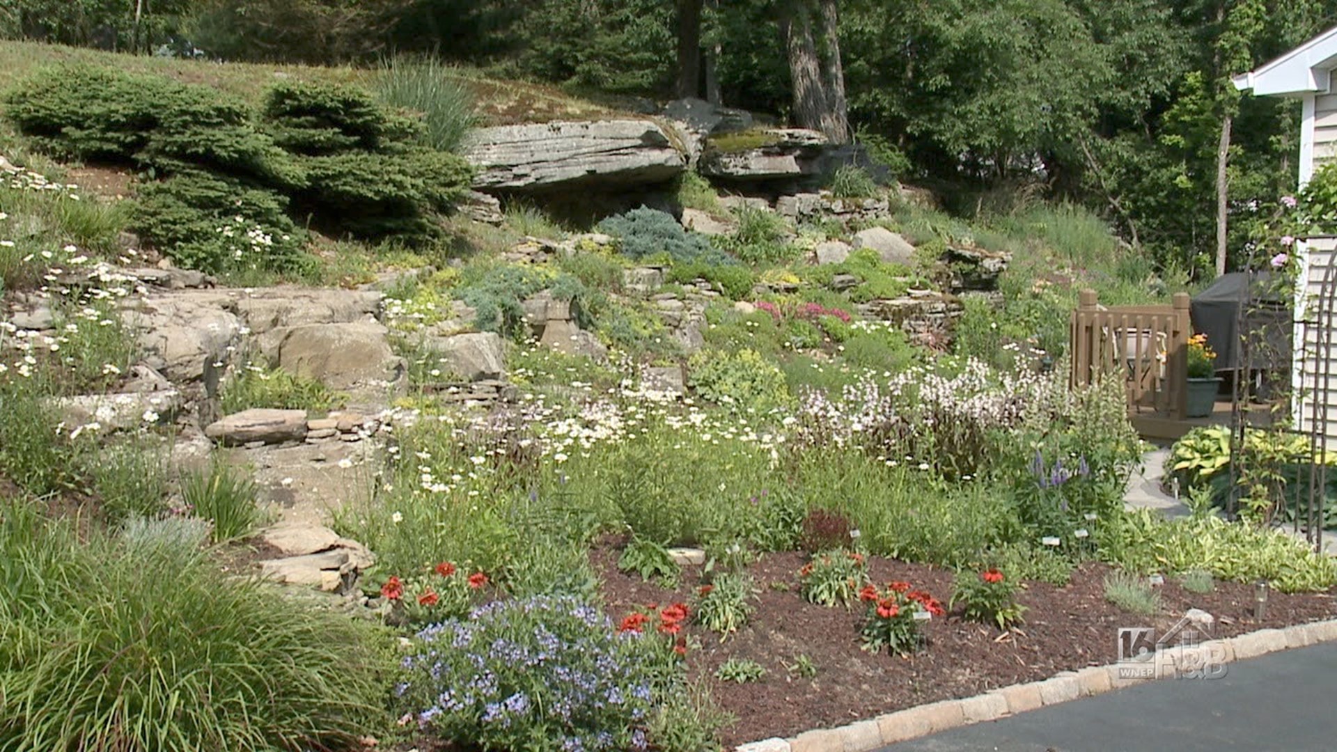 Rock Ledge Garden With Over 100 Named Plants