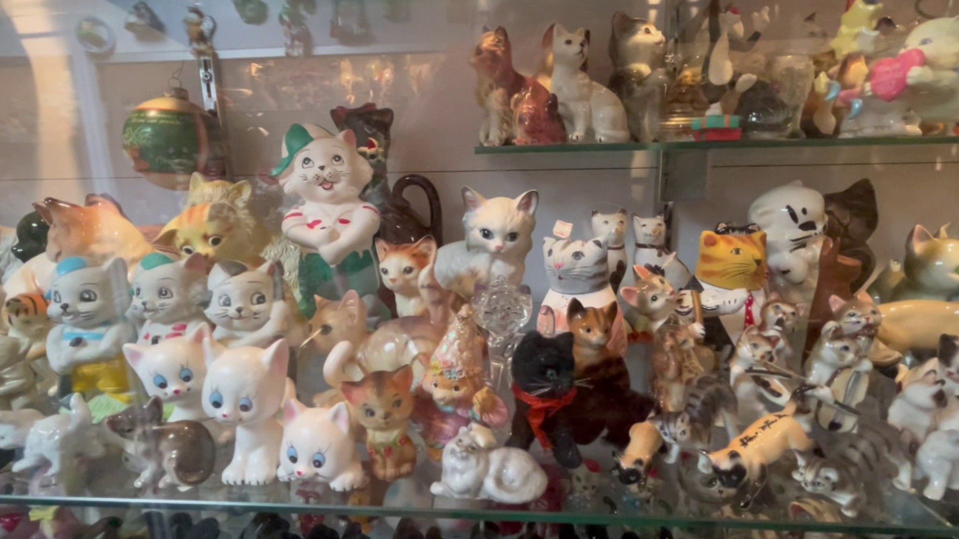 There are many things to collect but one man's collection of tiny cats is quite purrfect.