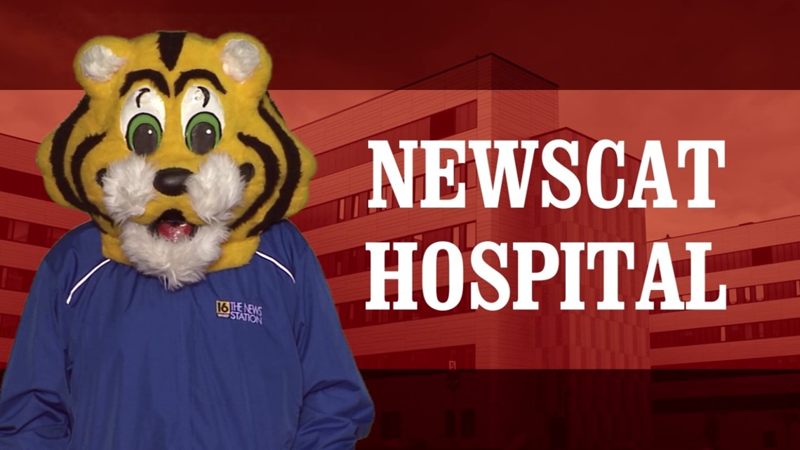 Newscat Hospital, the newest soap opera on Talkback Feedback - Vimarsana News