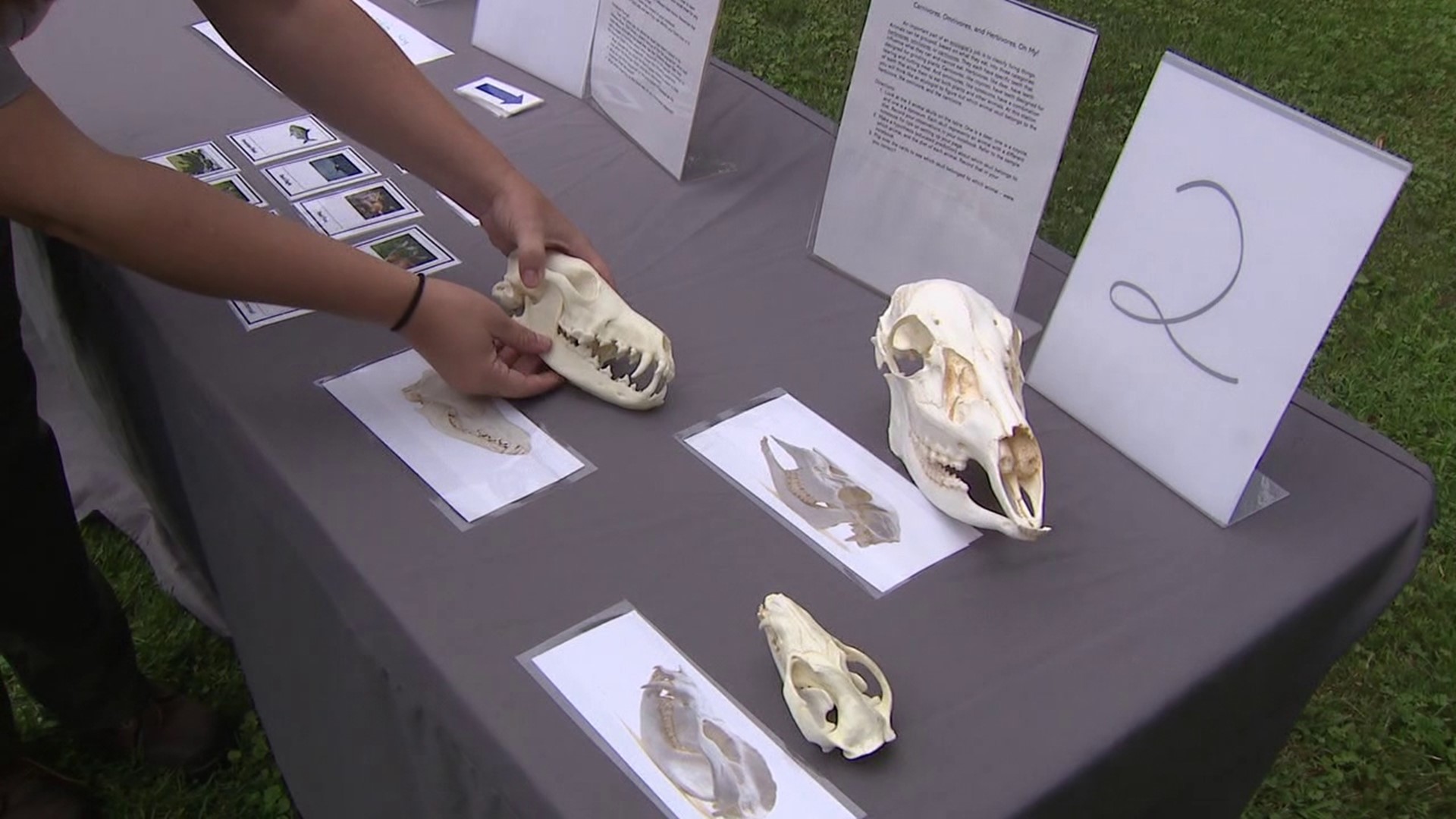 The National Park Service is welcoming children of all ages to check out its free Summer Science Camp in Monroe County.