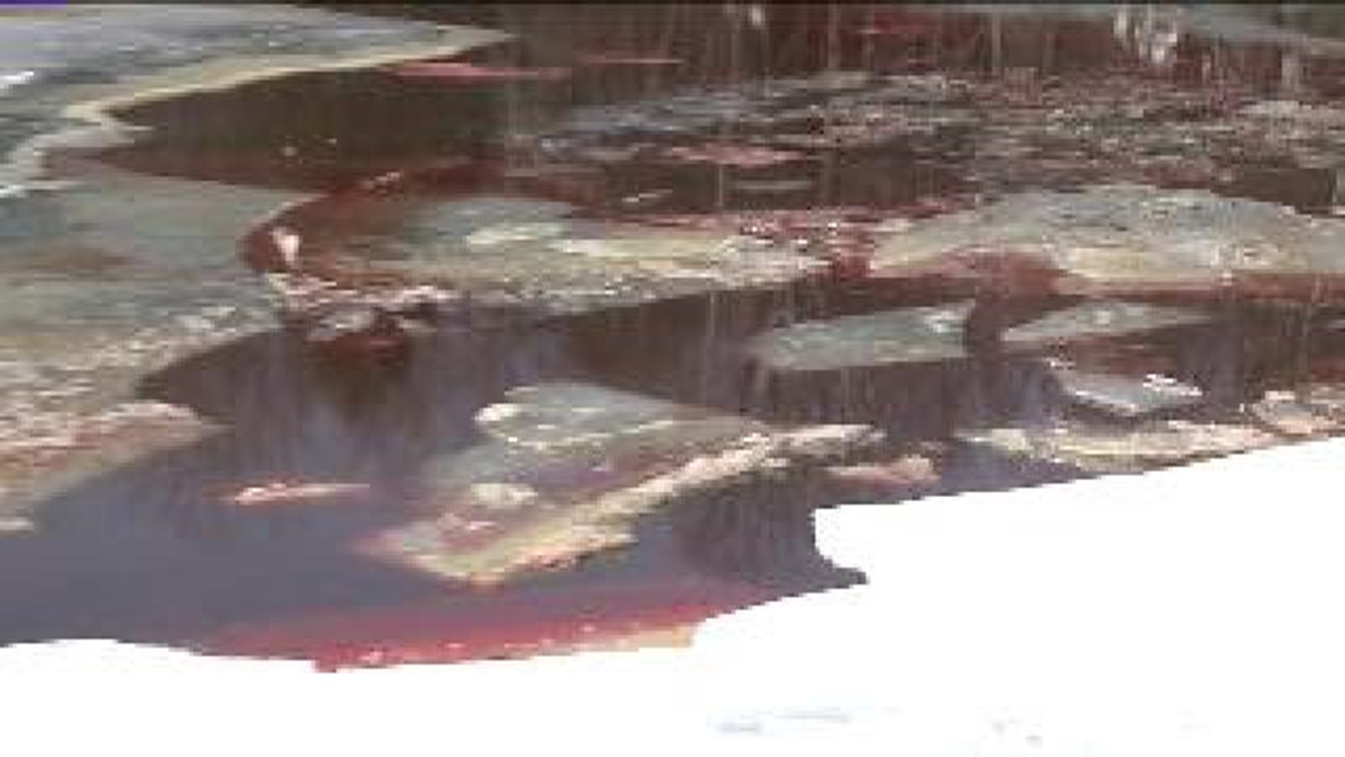 Oil Leaking Into Lake Ariel