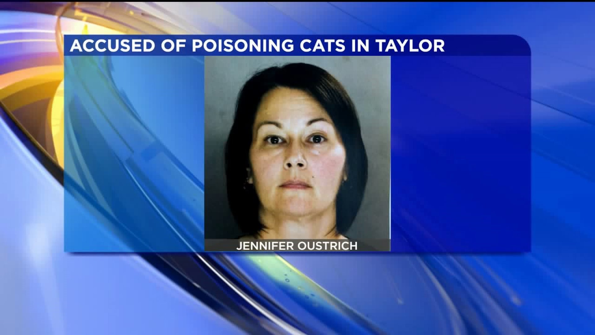 Landlord Accused of Poisoning Cats