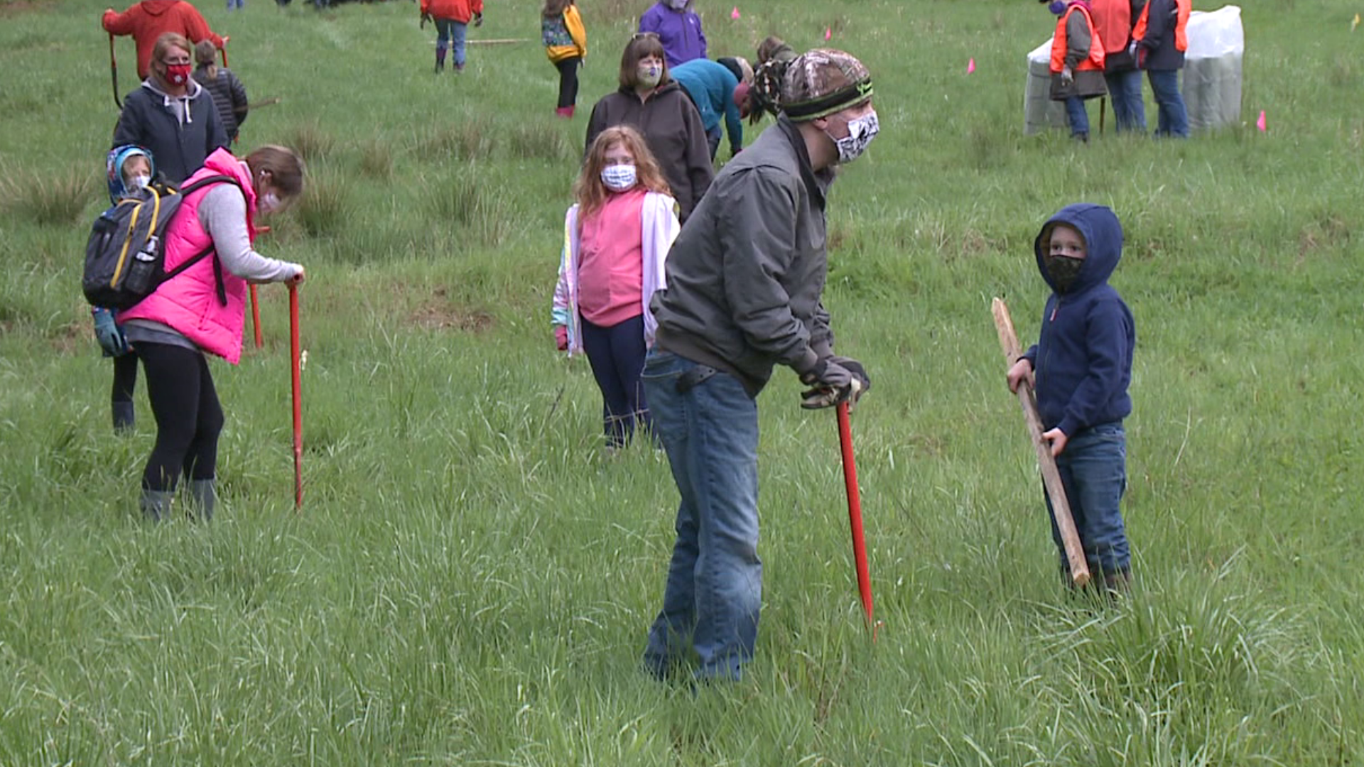 Over 200 trees were planted in Ross Township on Saturday.