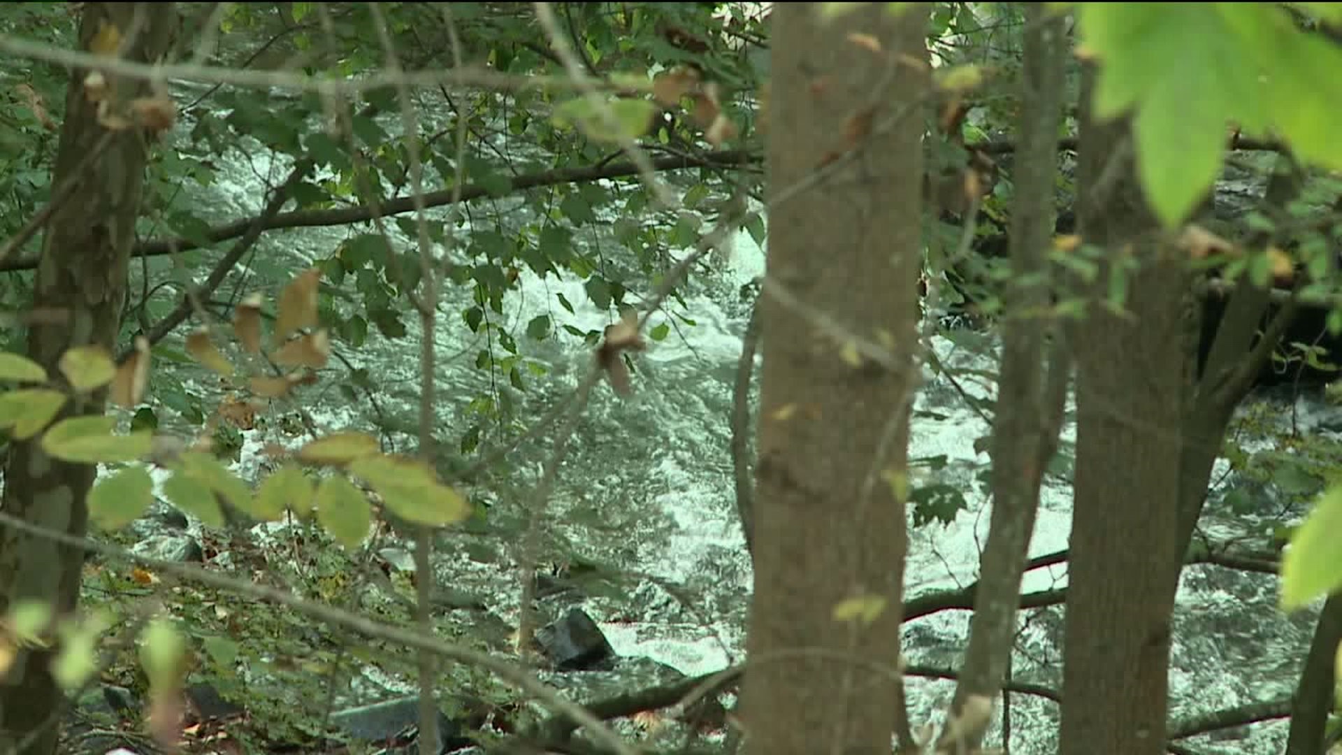 Man Missing After Jumping into Swimming Hole in Luzerne County
