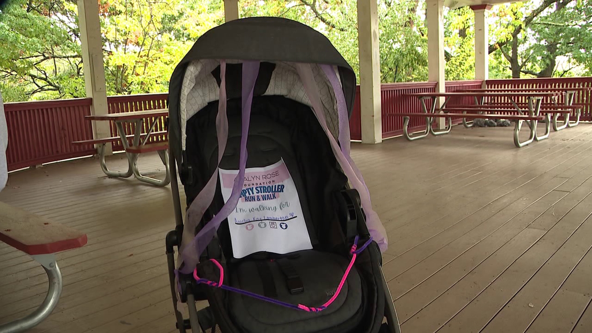 Walk In Lockable Skip Folks prepare for Empty Stroller Run and Walk in Scranton | wnep.com