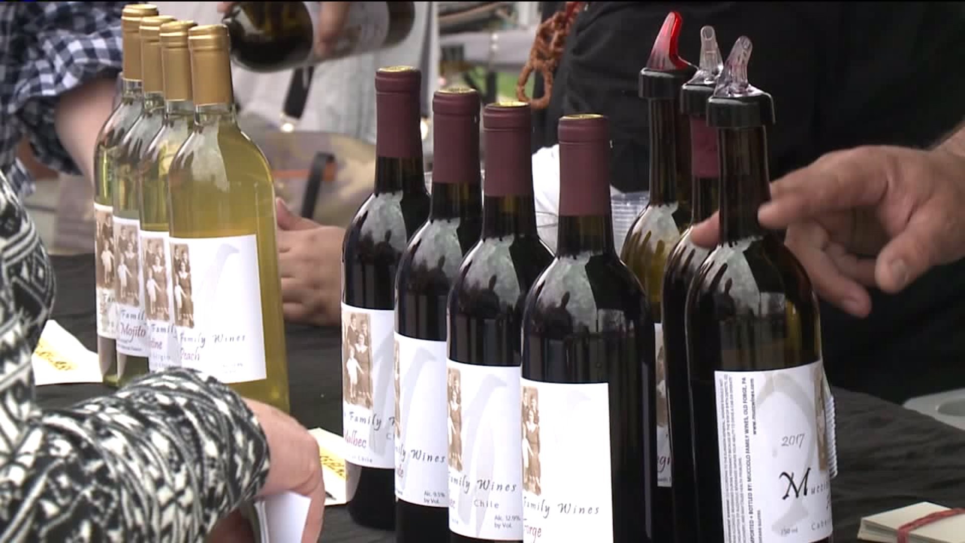 Wine Festival to Support Children's Programs