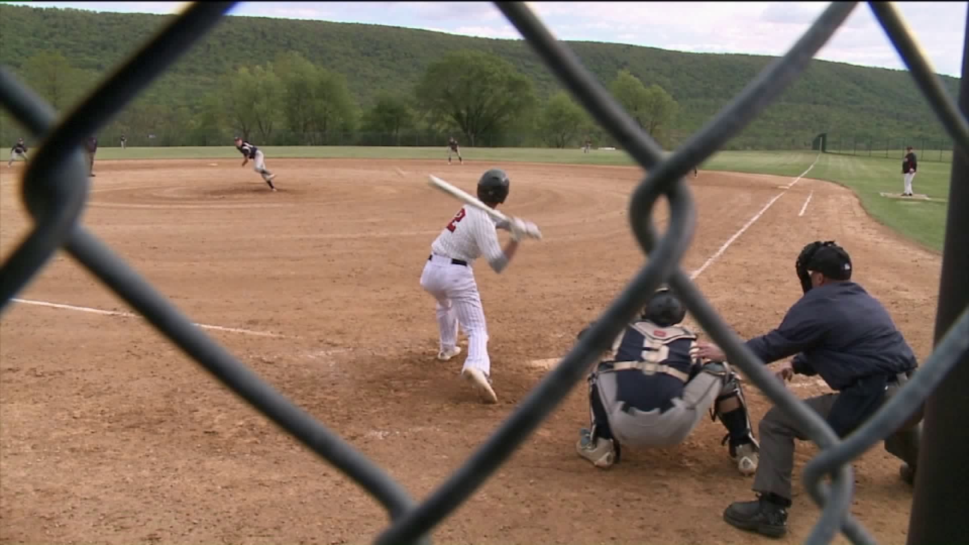Schuylkill Haven vs Tri-Valley baseball