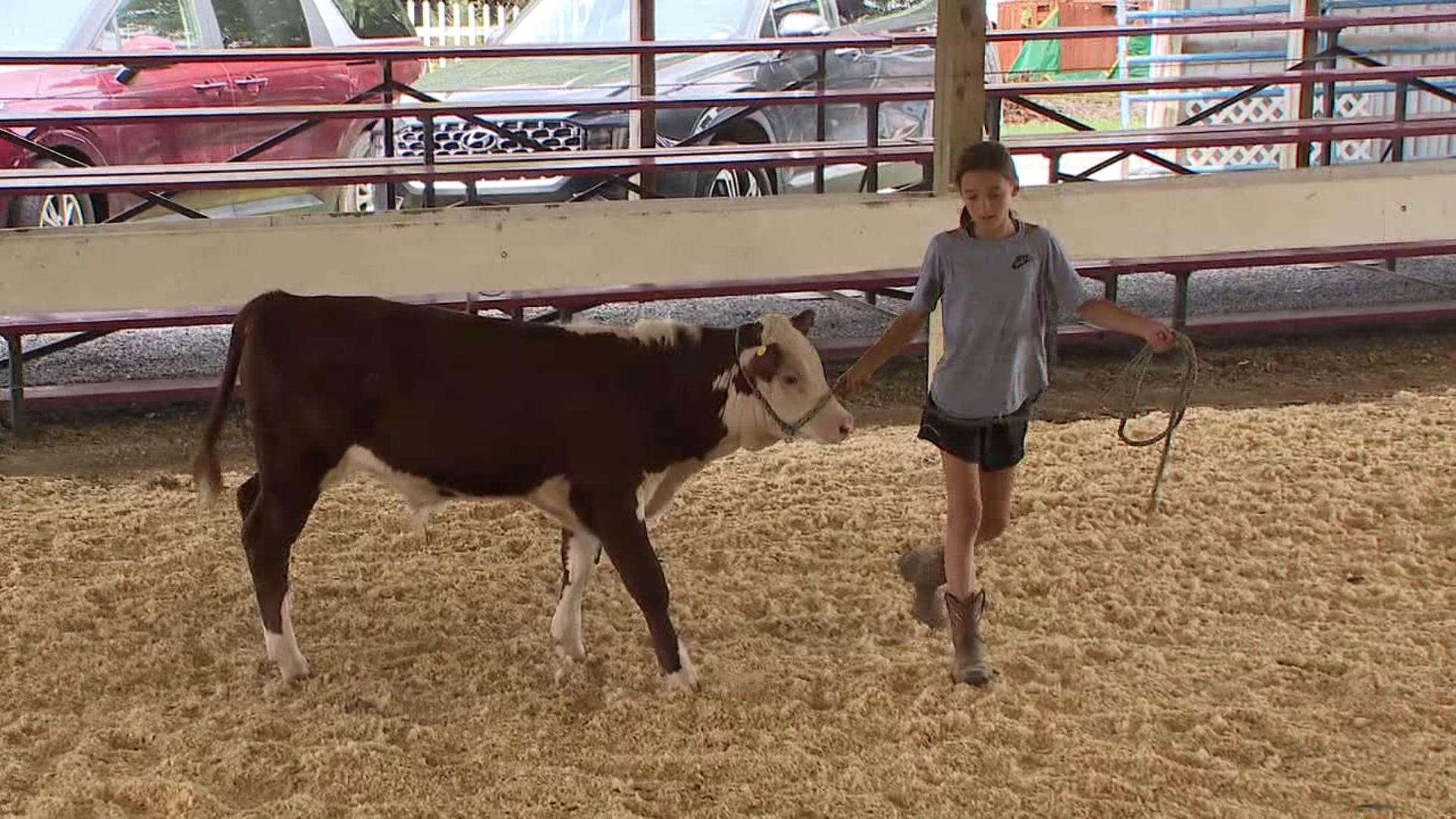 Newswatch 16's Mackenzie Aucker caught up with some 4-H kids using the fair as an opportunity to show their livestock.