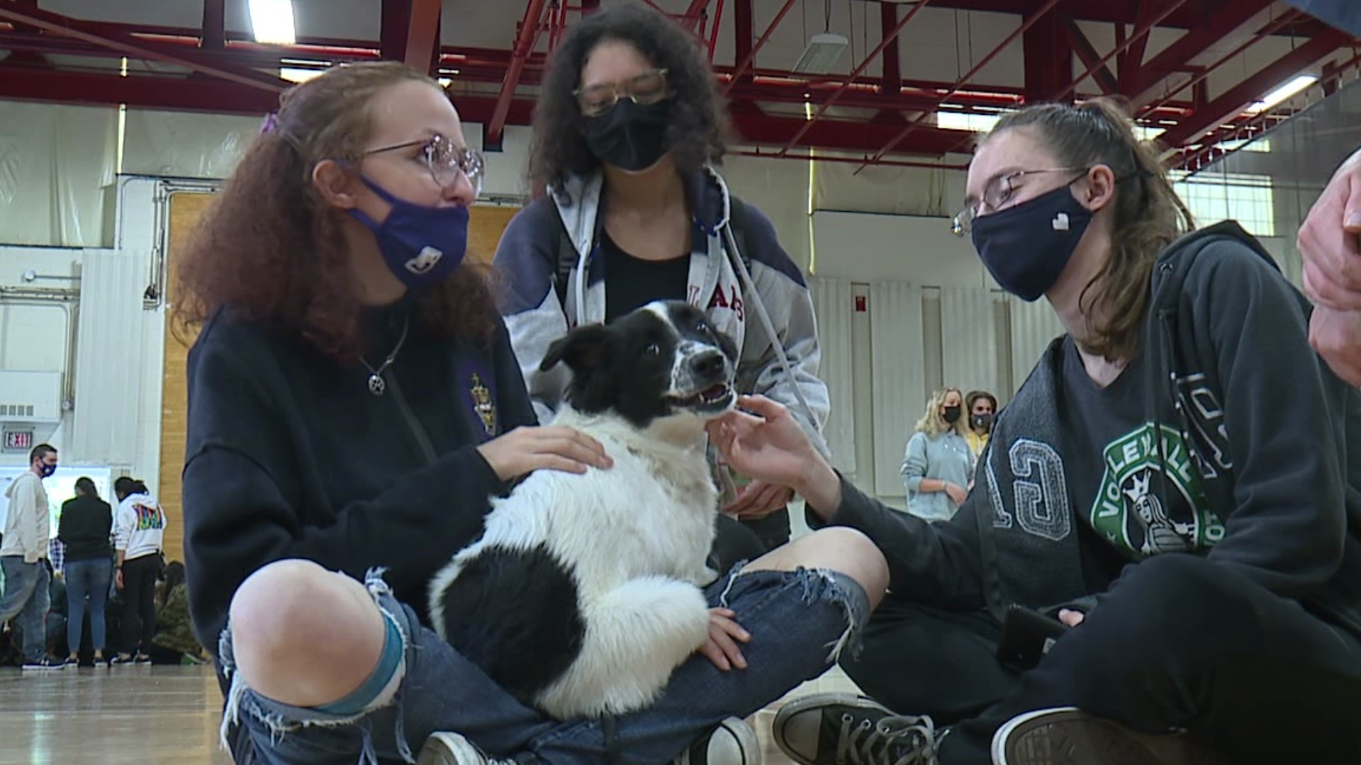 Each semester ahead of midterms, students are treated to dog therapy.