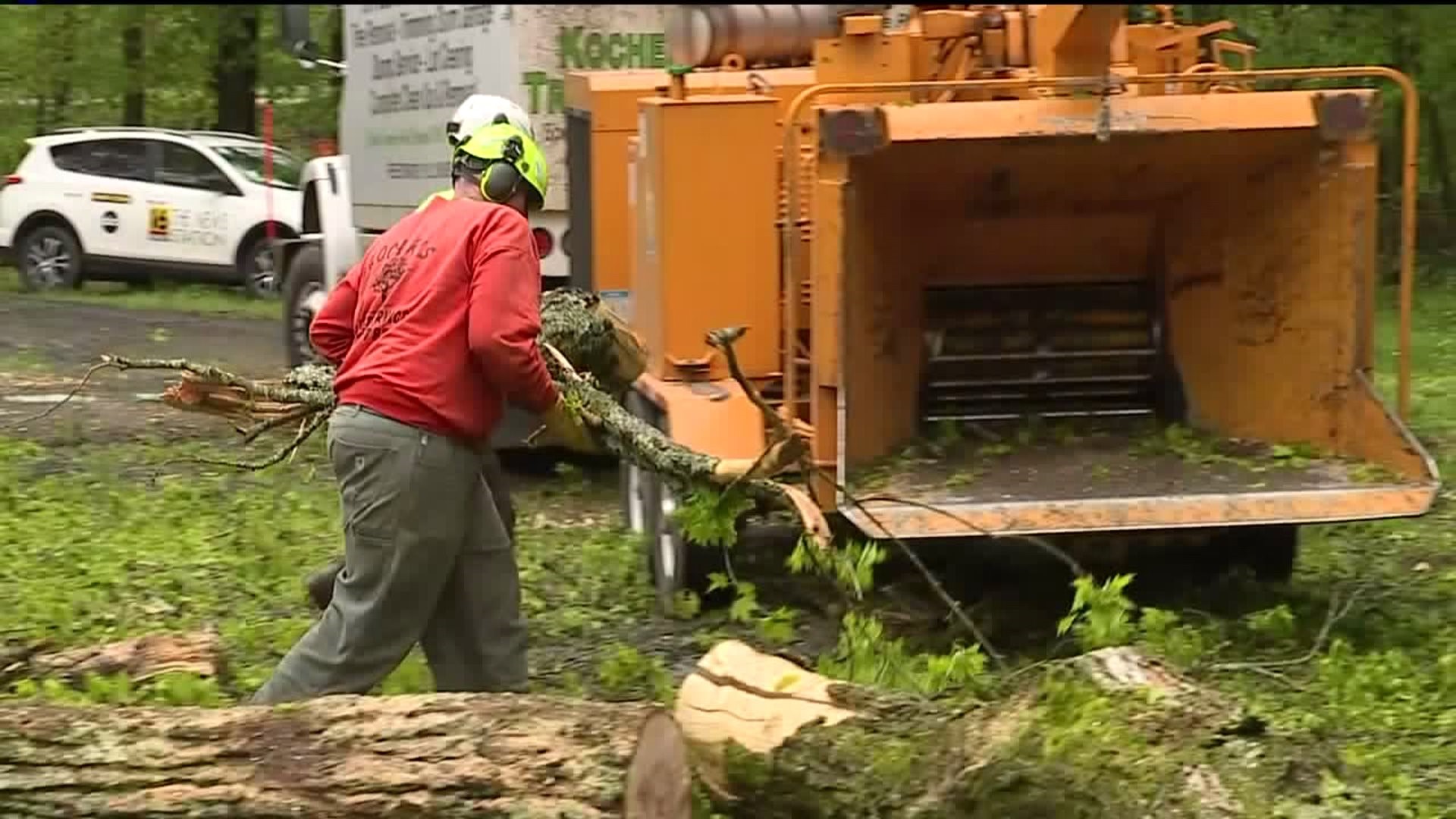 Storm Cleanup in Columbia County