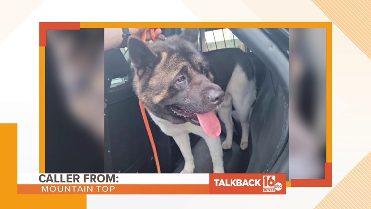 Dumped dog in Luzerne County | Talkback 16